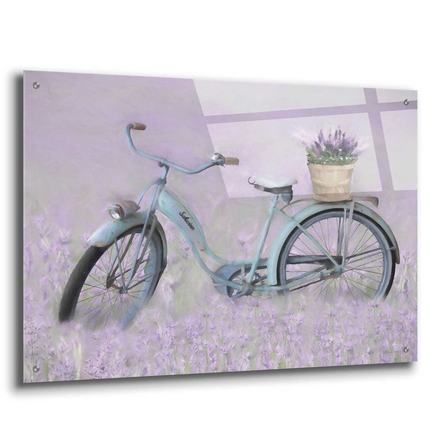 Epic Art 'Bicycle in Lavender' by Lori Deiter Acrylic Glass Wall Art,36x24