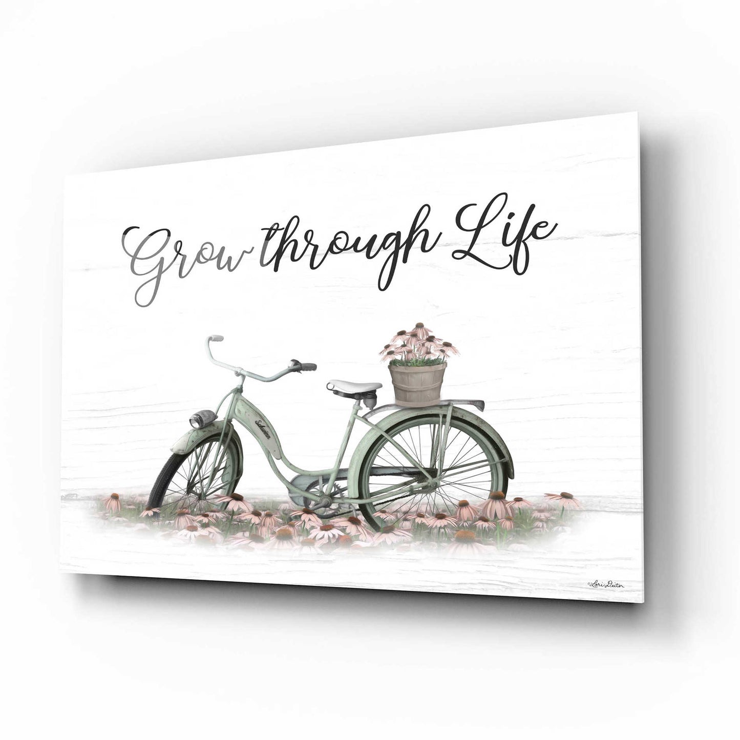 Epic Art 'Grow Through Life' by Lori Deiter Acrylic Glass Wall Art,16x12