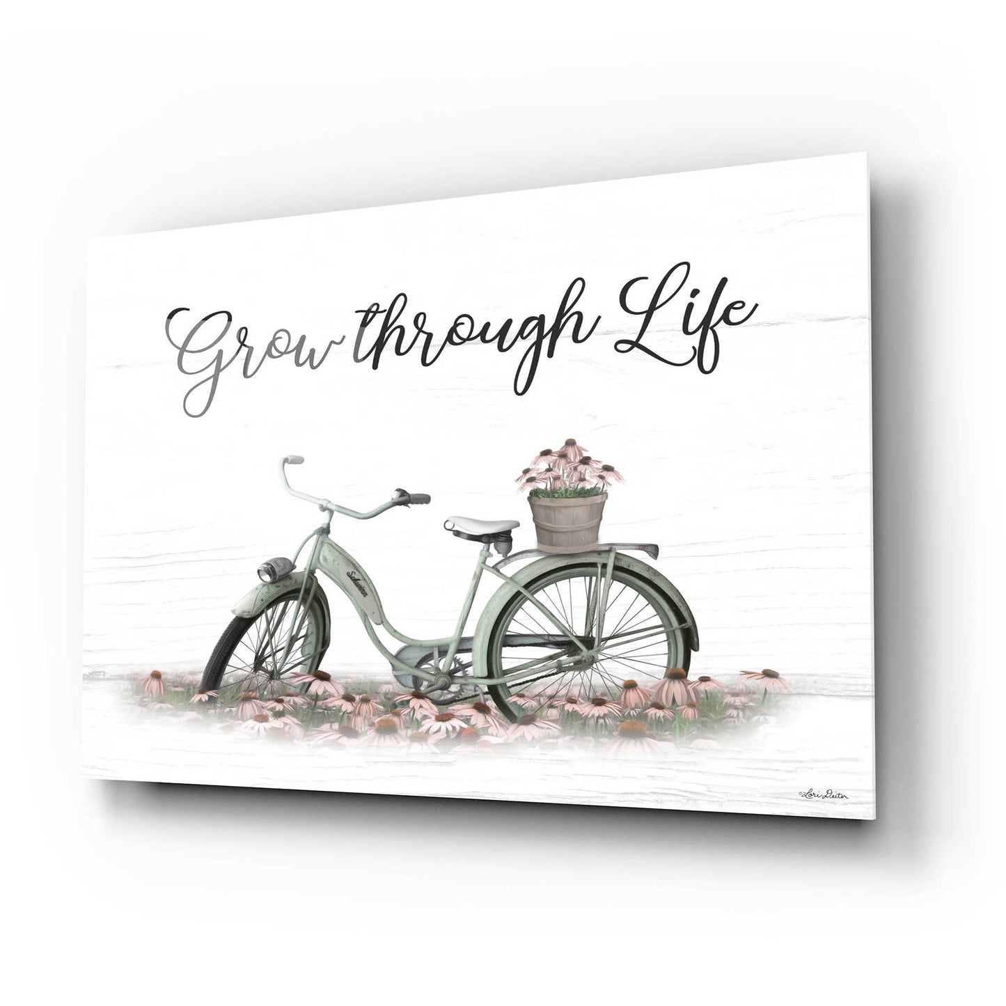 Epic Art 'Grow Through Life' by Lori Deiter Acrylic Glass Wall Art,24x16