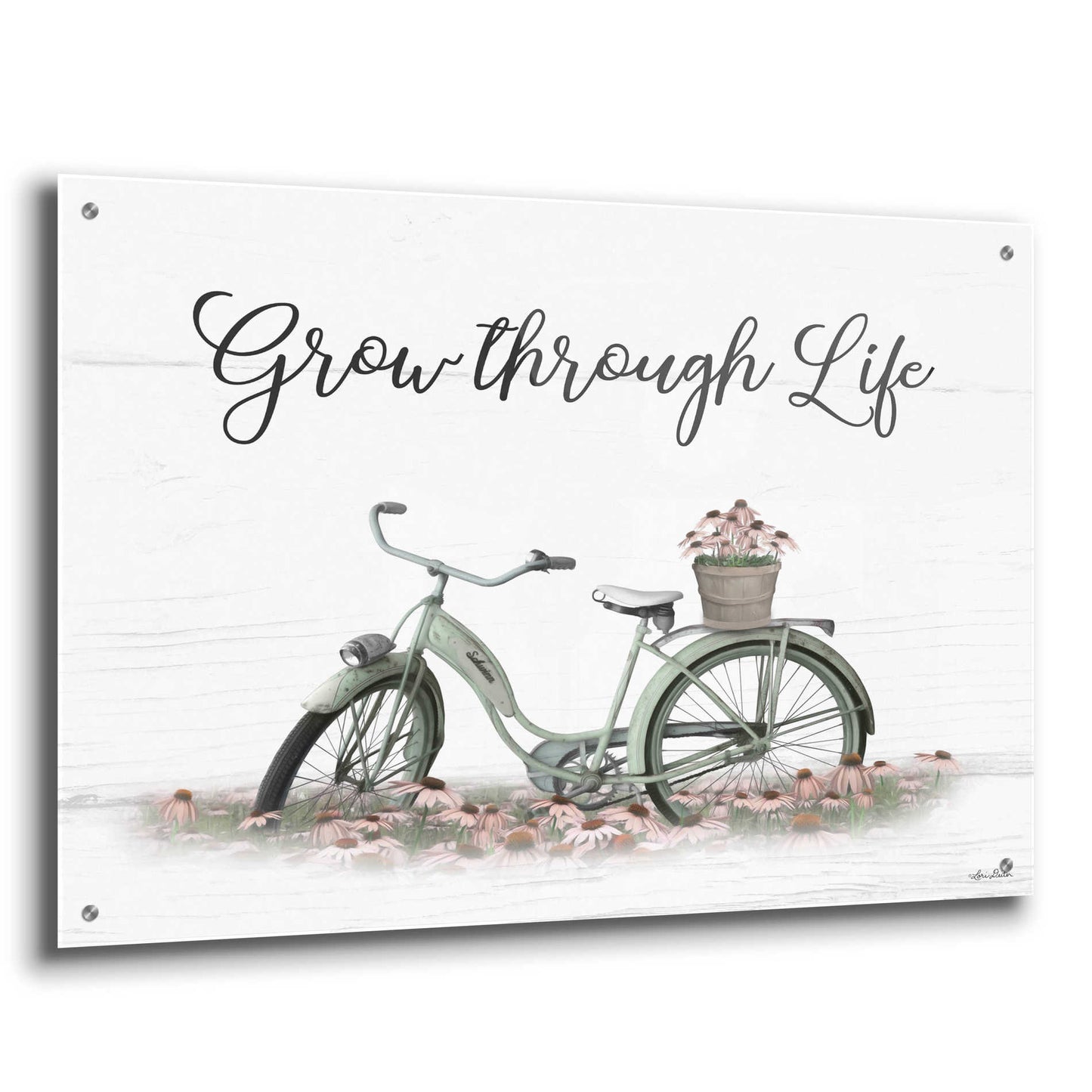 Epic Art 'Grow Through Life' by Lori Deiter Acrylic Glass Wall Art,36x24