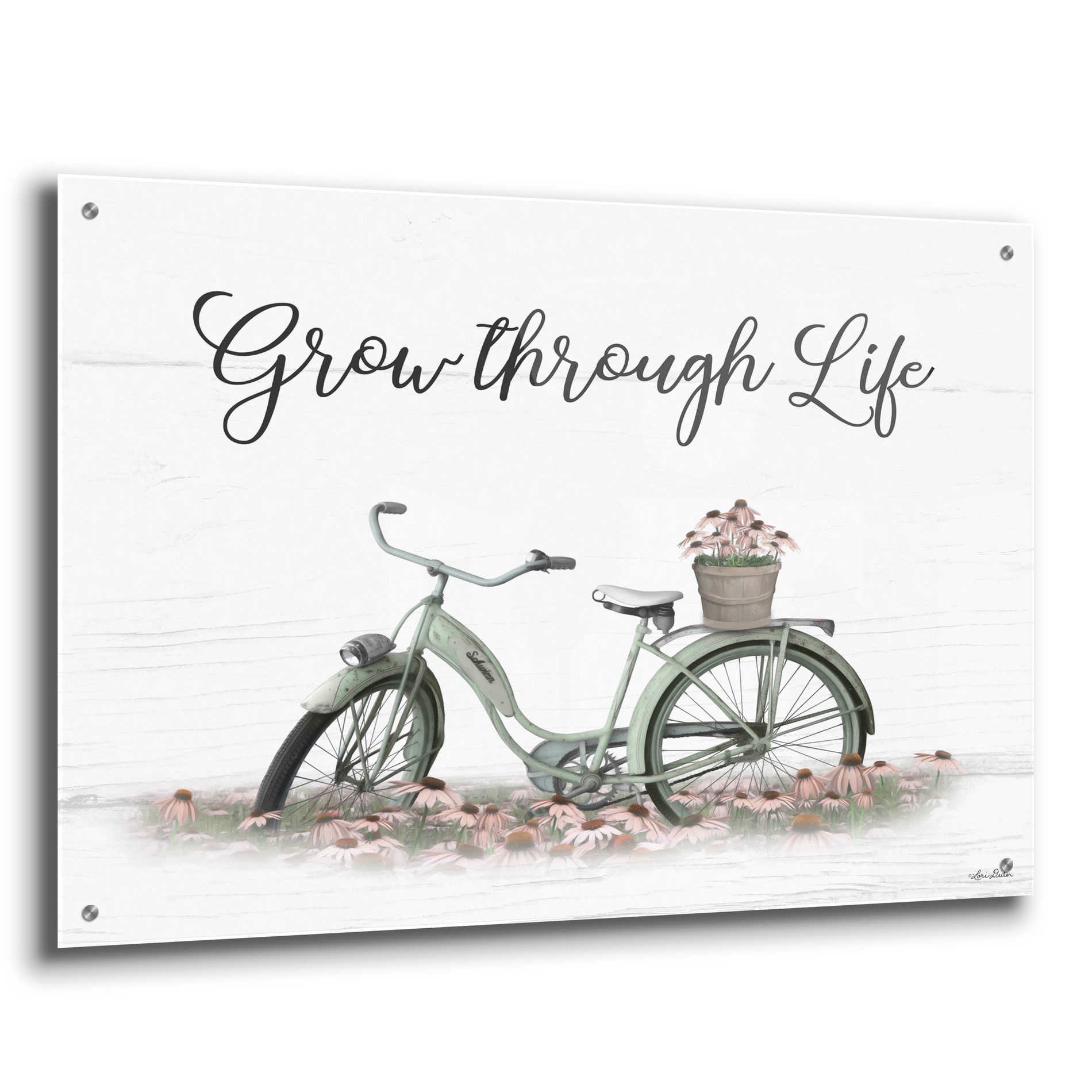 Epic Art 'Grow Through Life' by Lori Deiter Acrylic Glass Wall Art,36x24