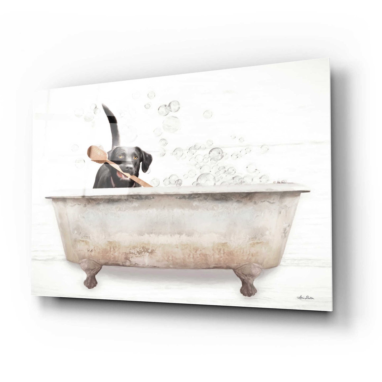 Epic Art 'Scrubbing Bubbles' by Lori Deiter Acrylic Glass Wall Art,24x16