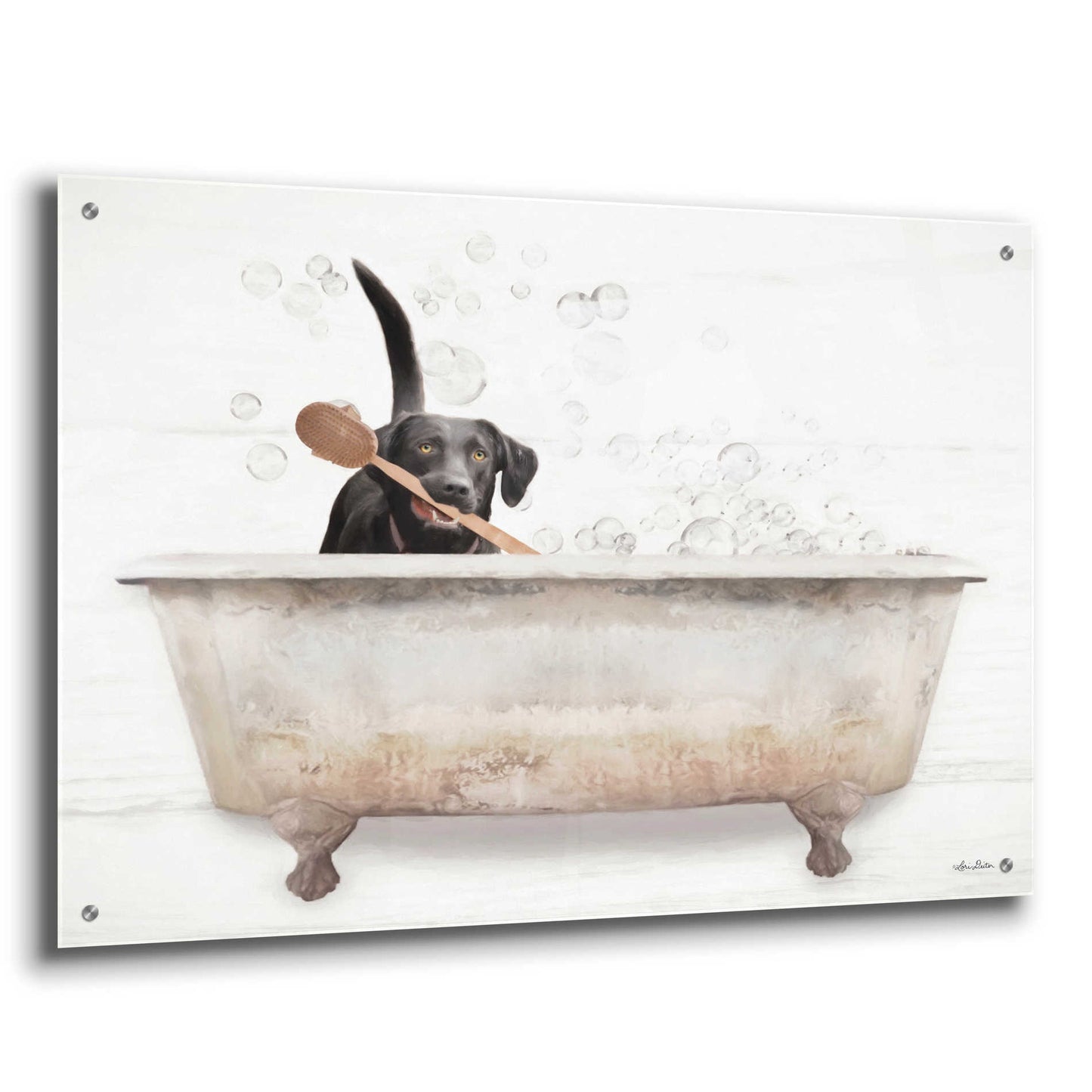 Epic Art 'Scrubbing Bubbles' by Lori Deiter Acrylic Glass Wall Art,36x24