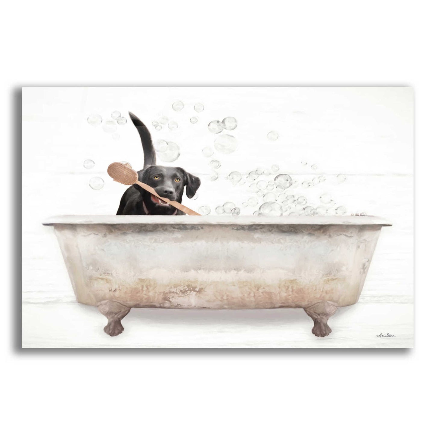 Epic Art 'Scrubbing Bubbles' by Lori Deiter Acrylic Glass Wall Art