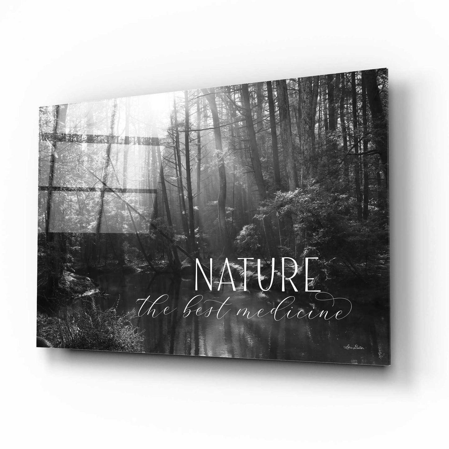 Epic Art 'Nature - The Best Medicine' by Lori Deiter Acrylic Glass Wall Art,16x12