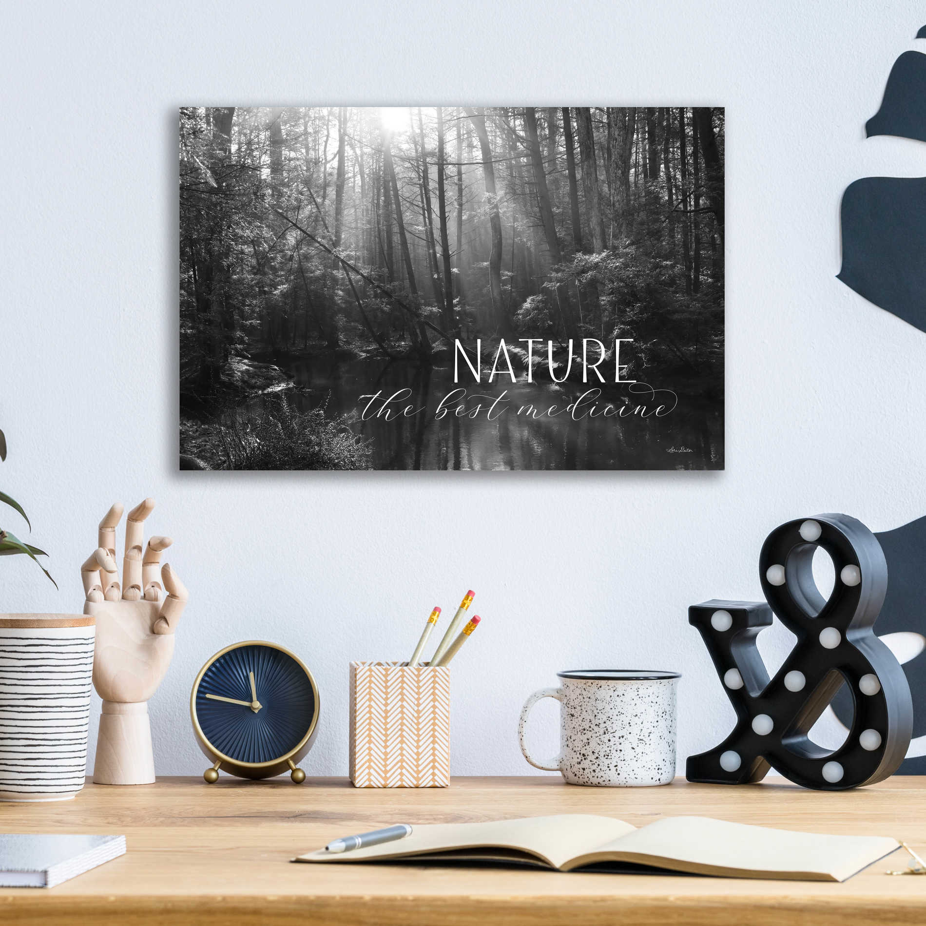Epic Art 'Nature - The Best Medicine' by Lori Deiter Acrylic Glass Wall Art,16x12