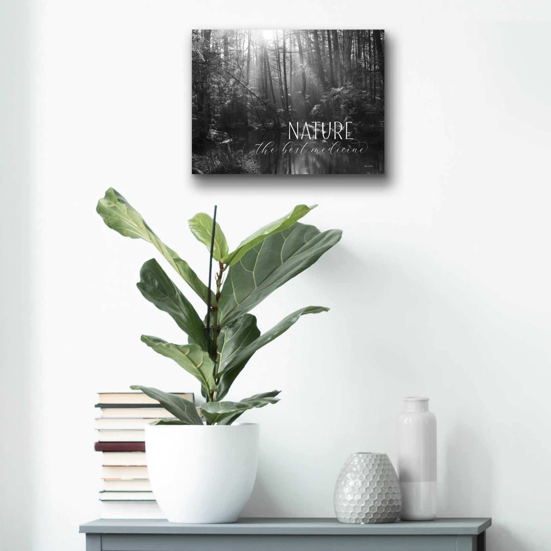Epic Art 'Nature - The Best Medicine' by Lori Deiter Acrylic Glass Wall Art,16x12