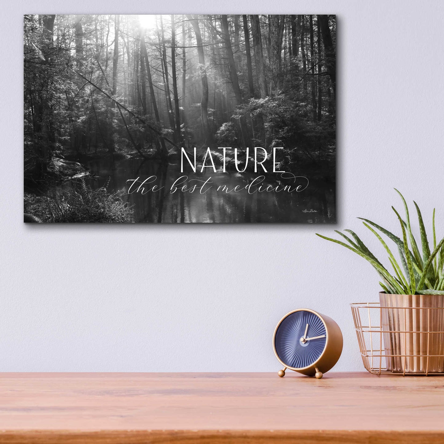 Epic Art 'Nature - The Best Medicine' by Lori Deiter Acrylic Glass Wall Art,16x12