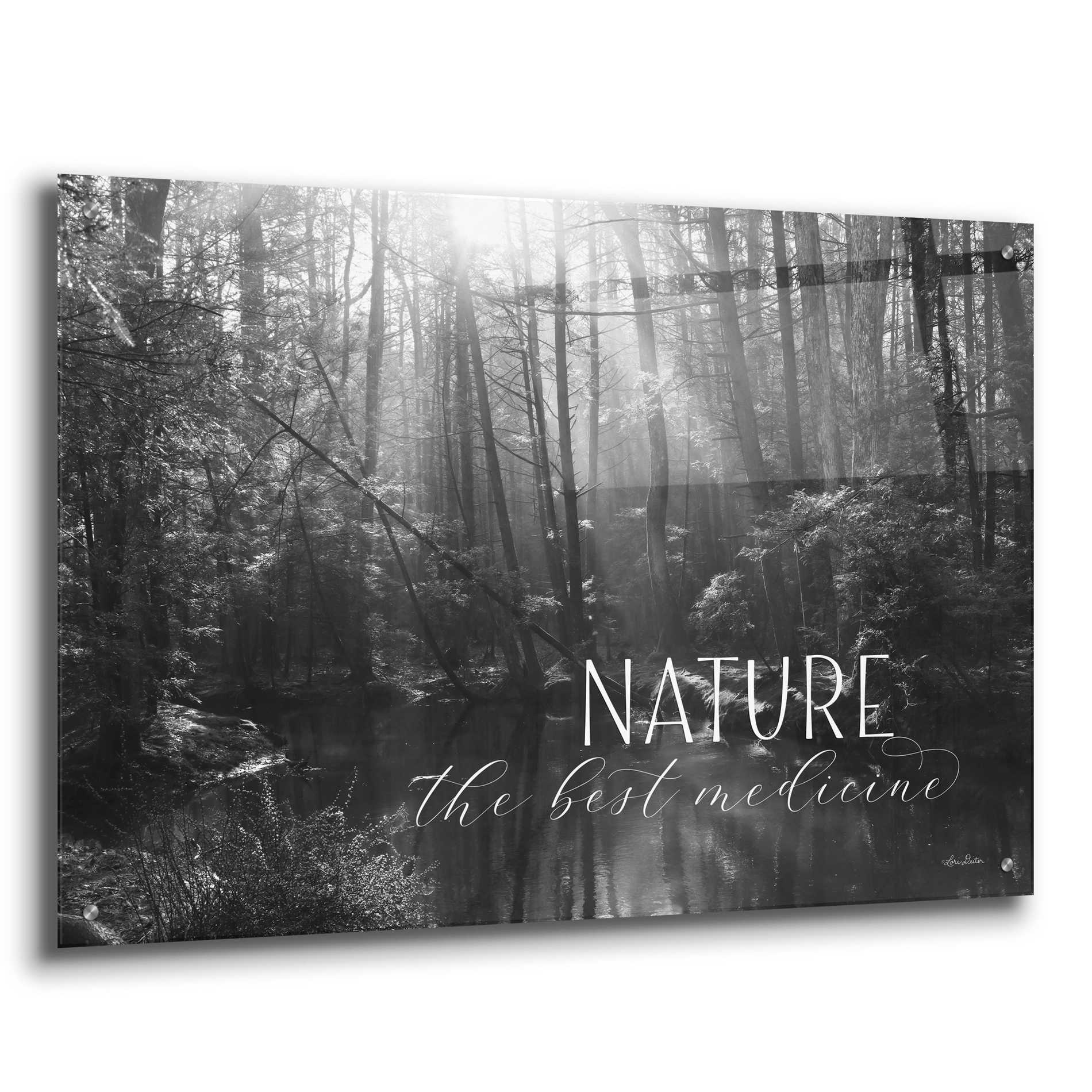Epic Art 'Nature - The Best Medicine' by Lori Deiter Acrylic Glass Wall Art,36x24