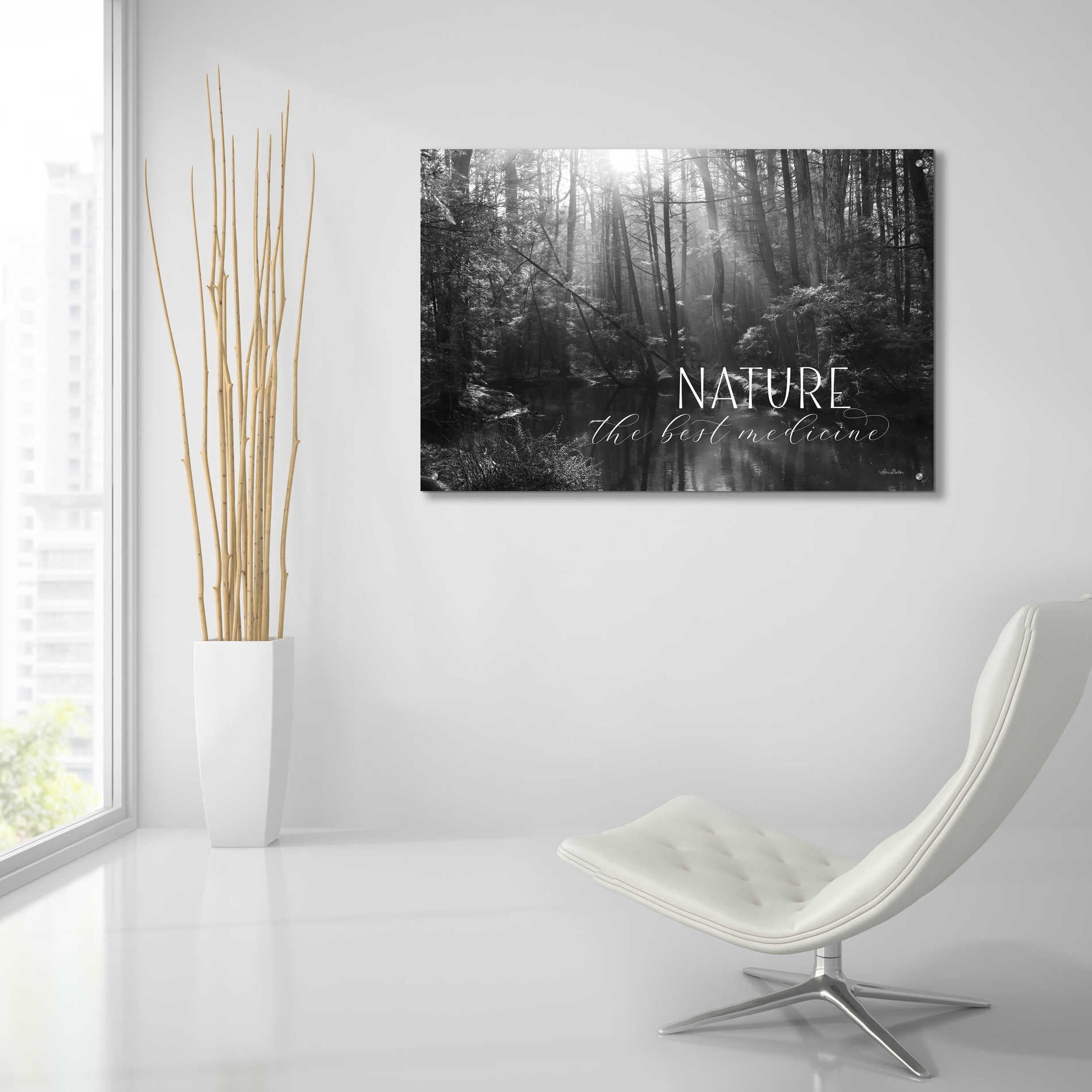 Epic Art 'Nature - The Best Medicine' by Lori Deiter Acrylic Glass Wall Art,36x24