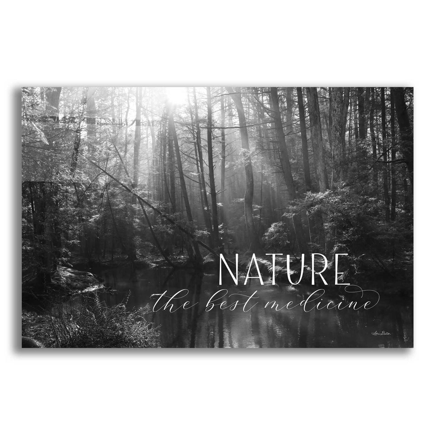 Epic Art 'Nature - The Best Medicine' by Lori Deiter Acrylic Glass Wall Art