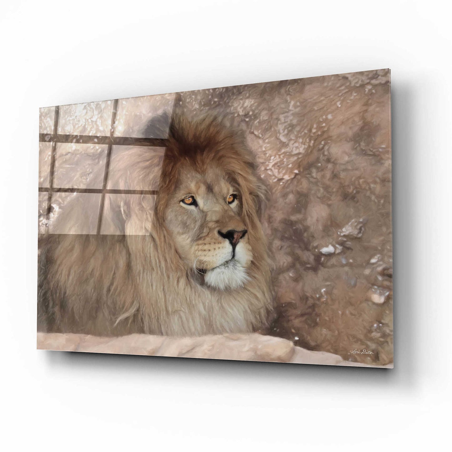 Epic Art 'Leo the Lion' by Lori Deiter Acrylic Glass Wall Art,16x12