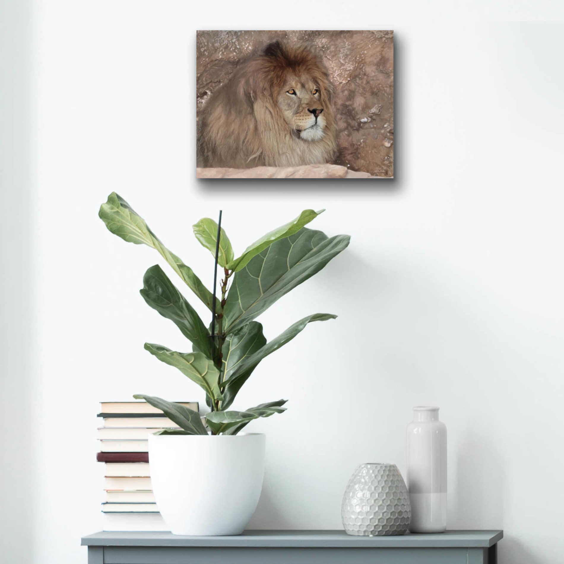 Epic Art 'Leo the Lion' by Lori Deiter Acrylic Glass Wall Art,16x12