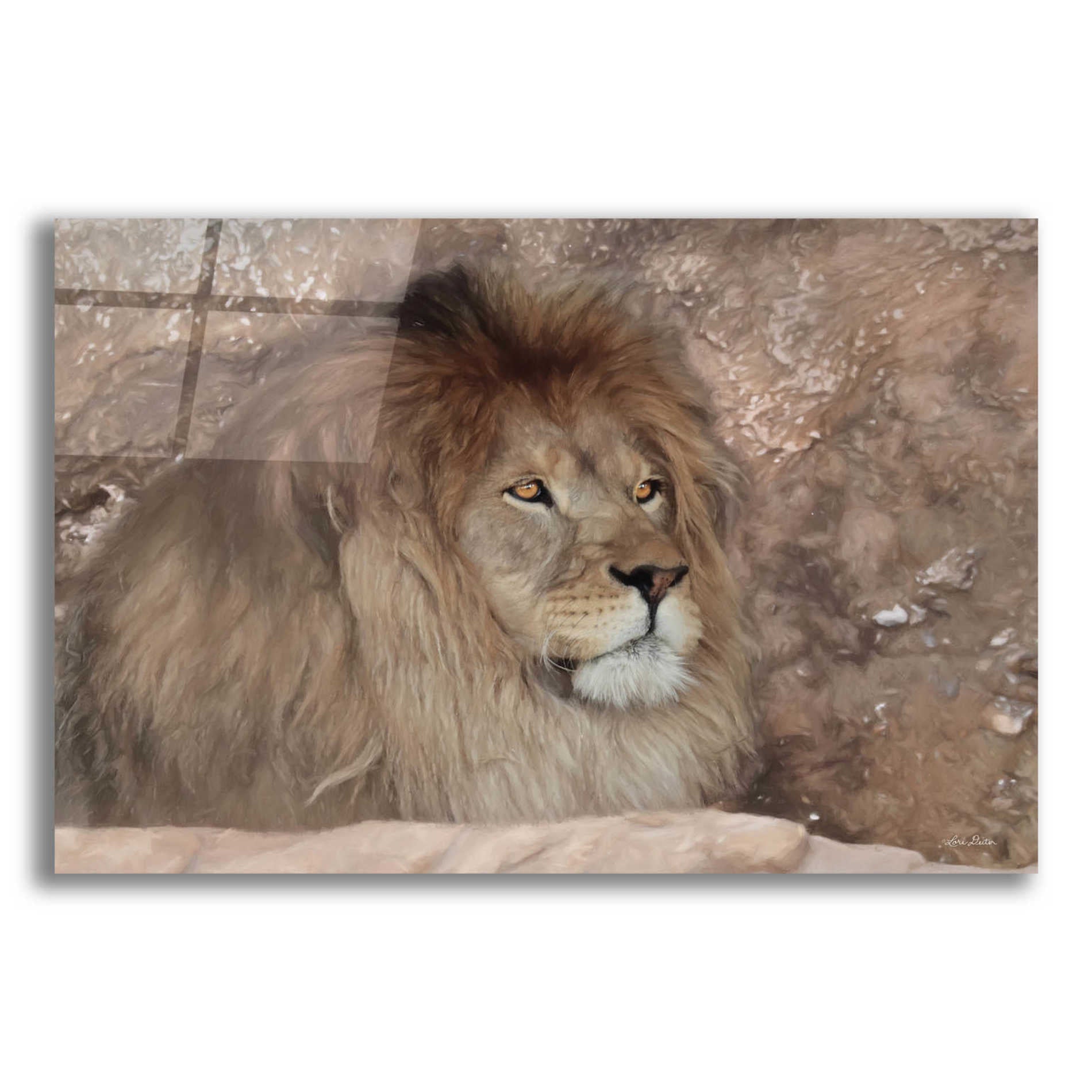 Epic Art 'Leo the Lion' by Lori Deiter Acrylic Glass Wall Art,16x12