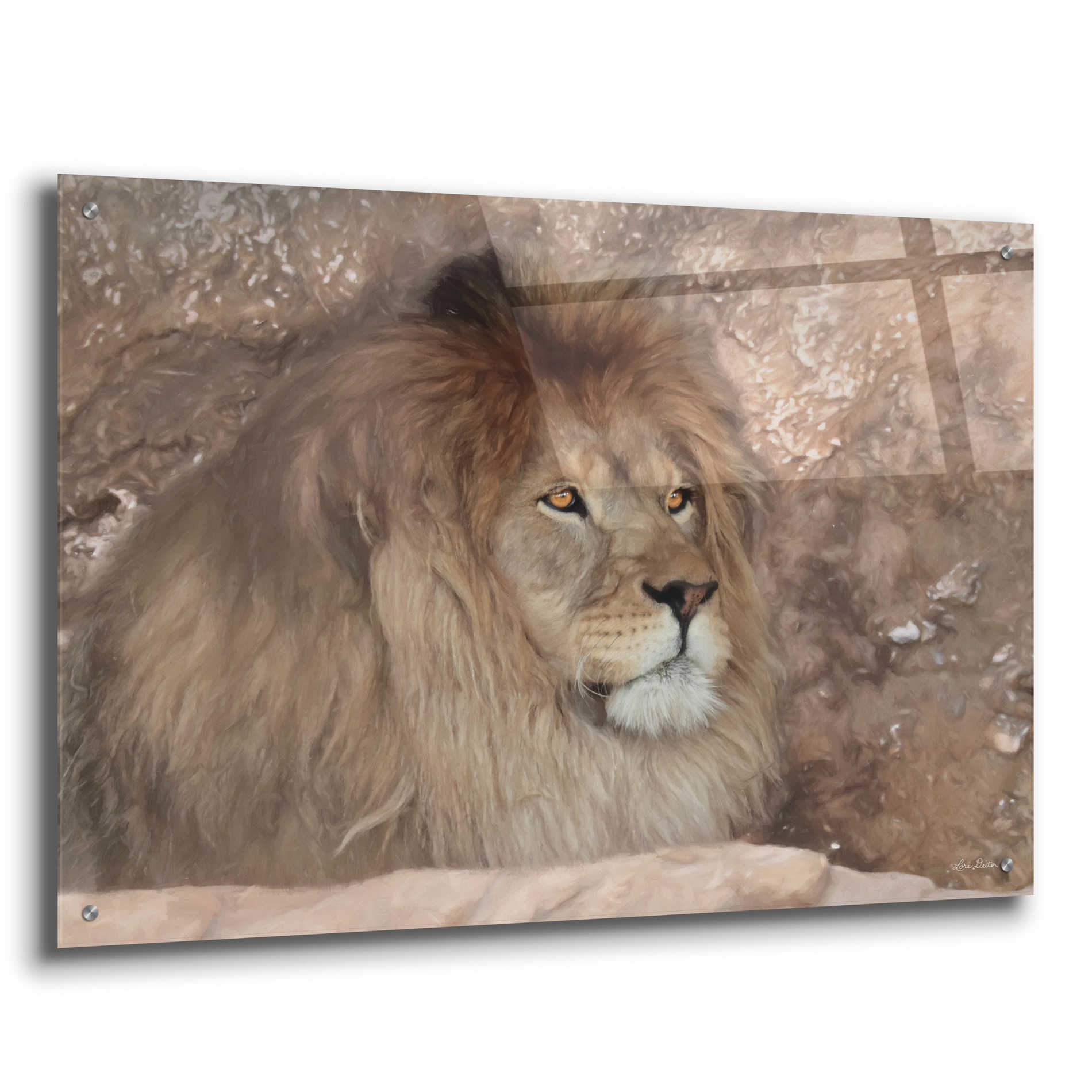 Epic Art 'Leo the Lion' by Lori Deiter Acrylic Glass Wall Art,36x24