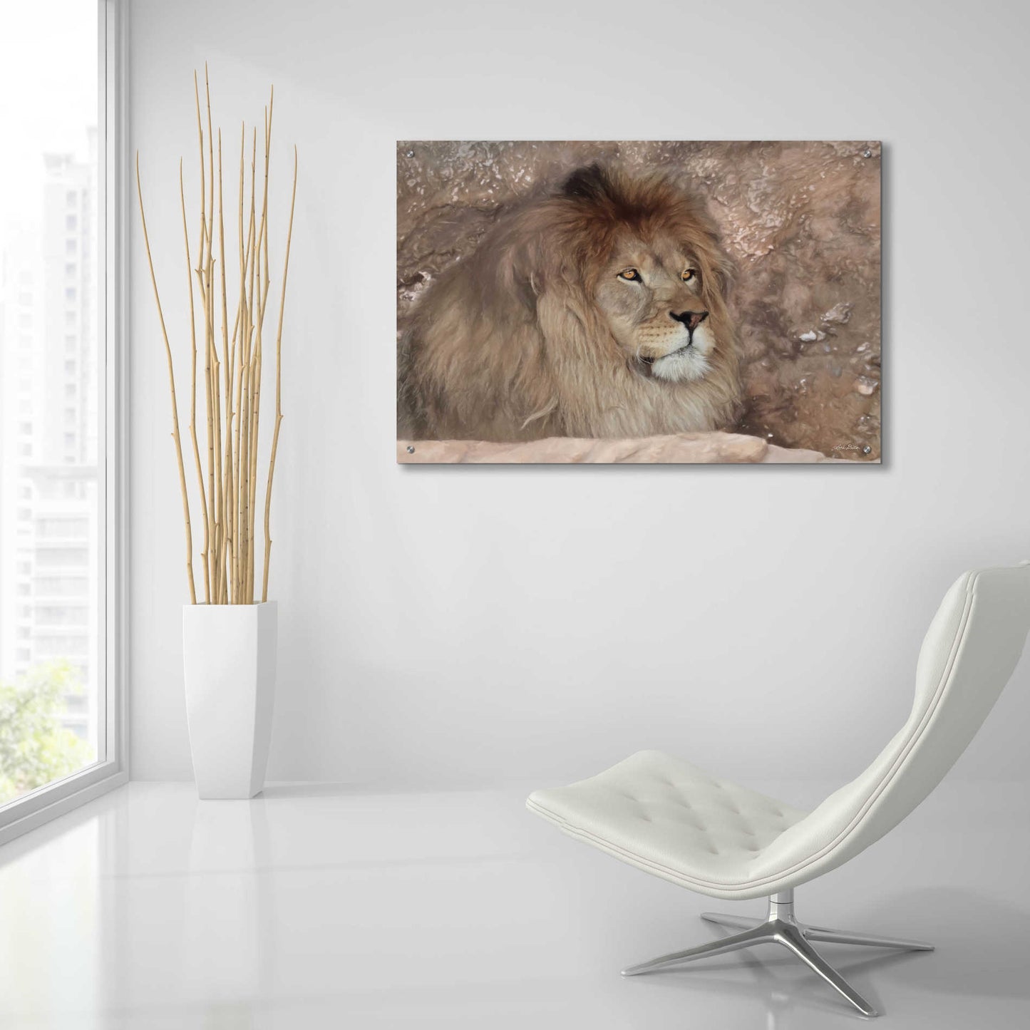 Epic Art 'Leo the Lion' by Lori Deiter Acrylic Glass Wall Art,36x24