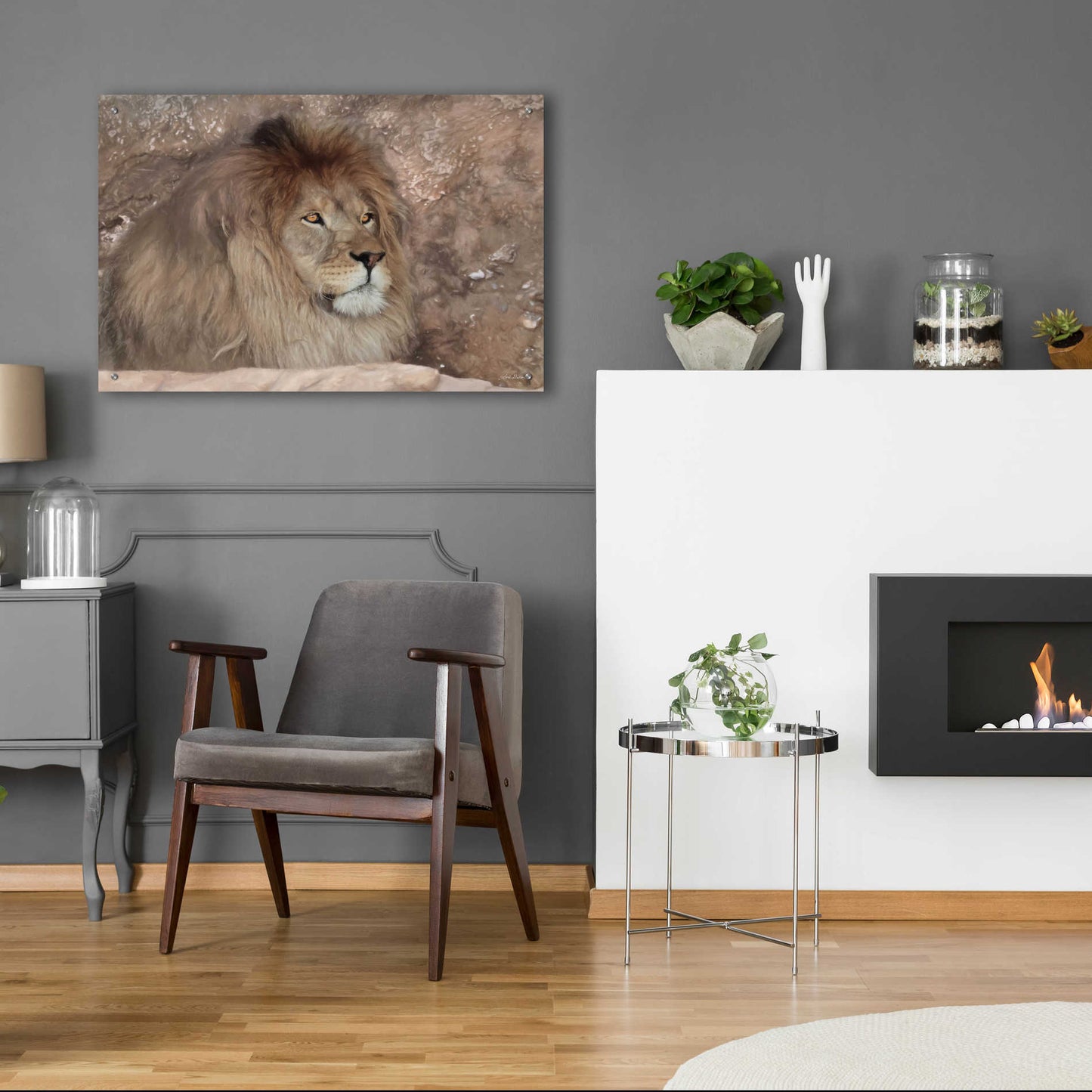 Epic Art 'Leo the Lion' by Lori Deiter Acrylic Glass Wall Art,36x24