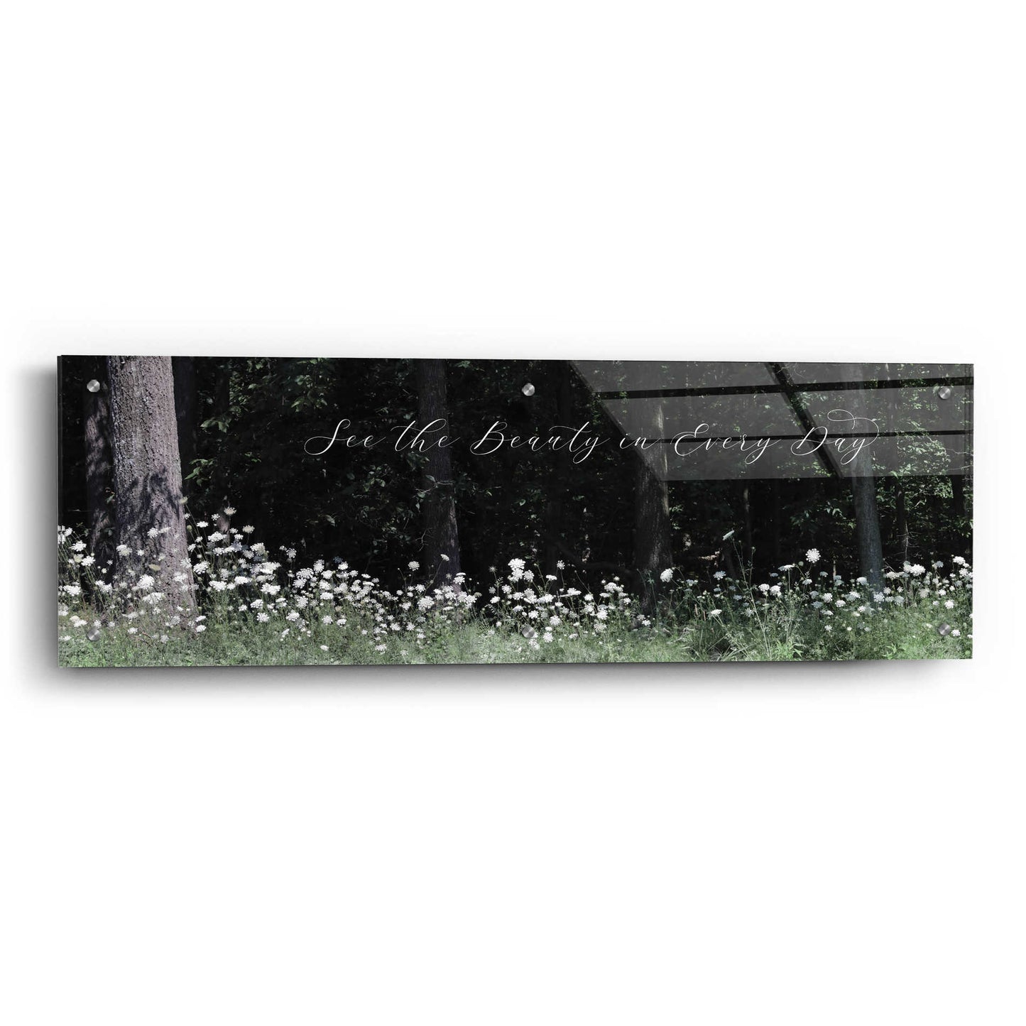 Epic Art 'See the Beauty in Every Day' by Lori Deiter Acrylic Glass Wall Art,36x12