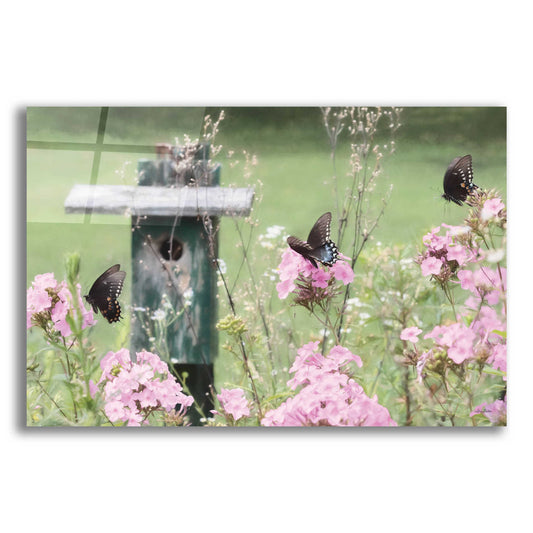 Epic Art 'Summer Fantasy' by Lori Deiter Acrylic Glass Wall Art