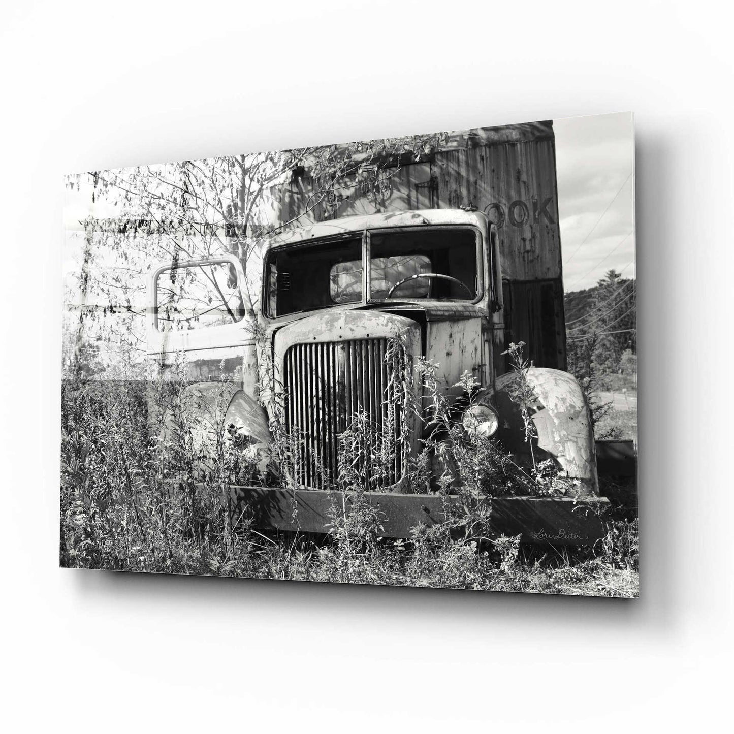 Epic Art 'Don't Leave Me Hanging' by Lori Deiter Acrylic Glass Wall Art,16x12