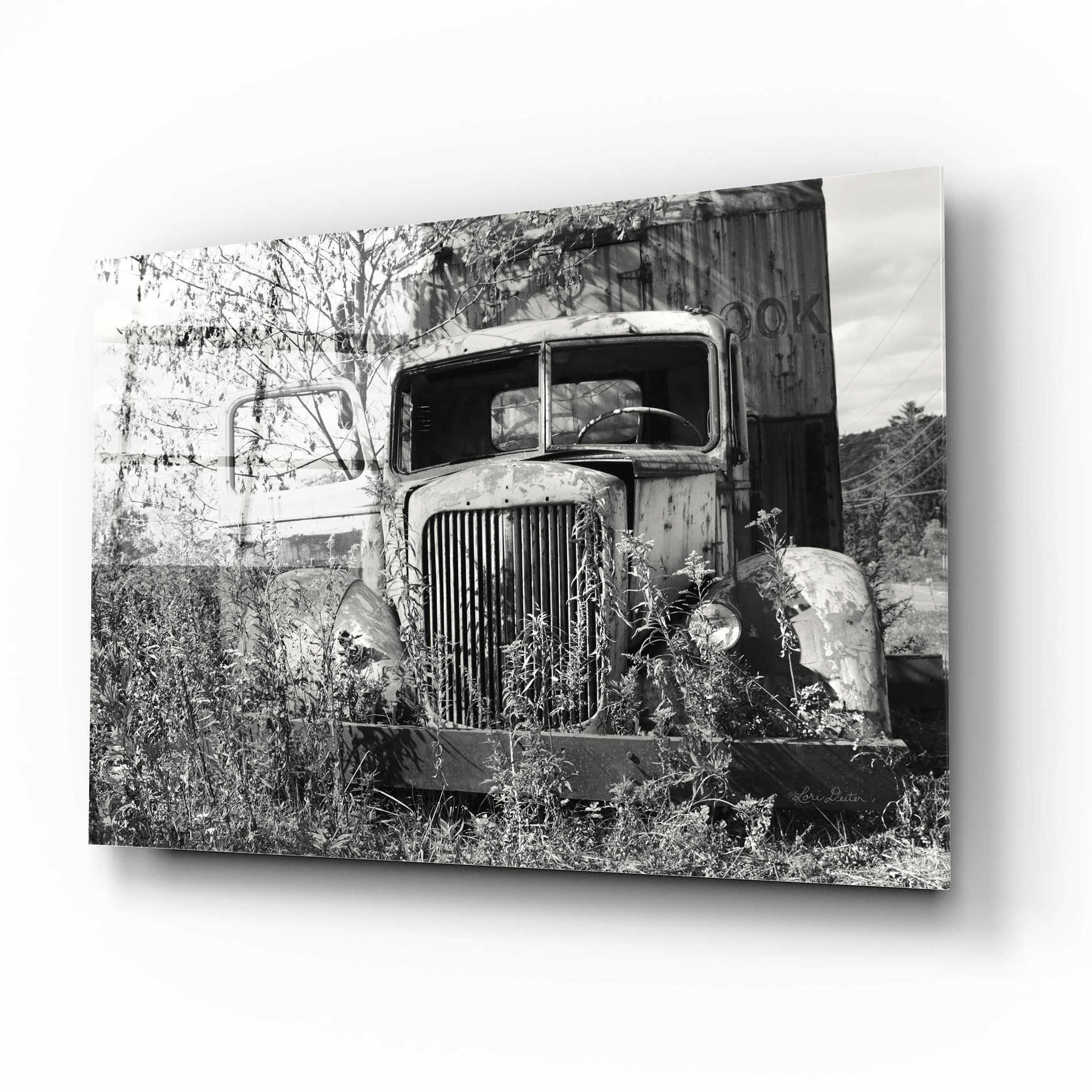 Epic Art 'Don't Leave Me Hanging' by Lori Deiter Acrylic Glass Wall Art,16x12