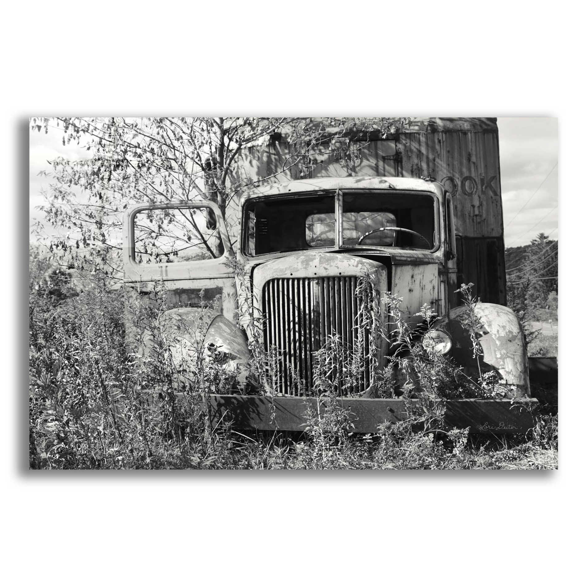 Epic Art 'Don't Leave Me Hanging' by Lori Deiter Acrylic Glass Wall Art,24x16