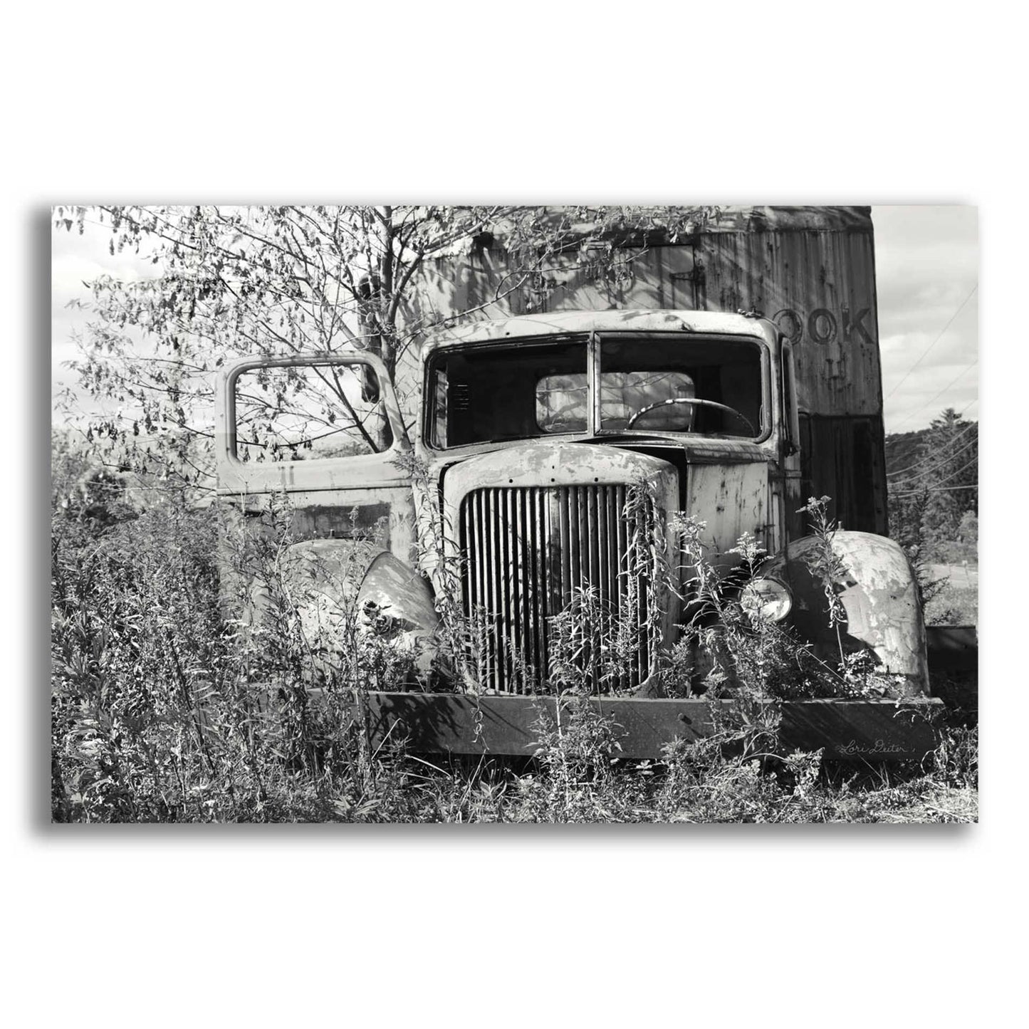 Epic Art 'Don't Leave Me Hanging' by Lori Deiter Acrylic Glass Wall Art