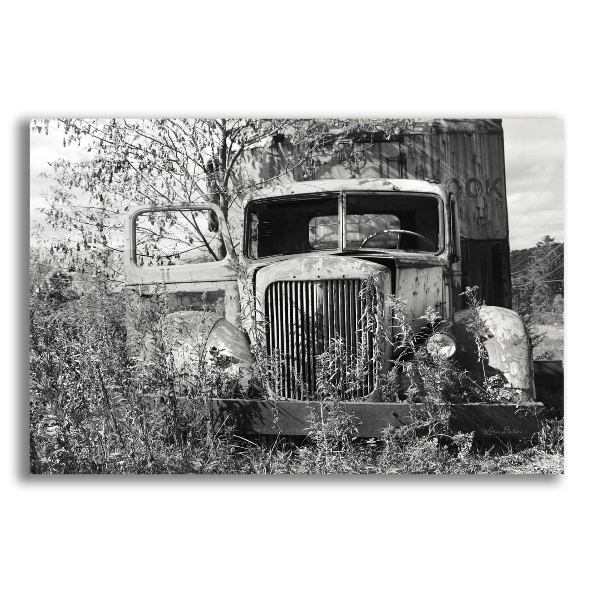 Epic Art 'Don't Leave Me Hanging' by Lori Deiter Acrylic Glass Wall Art