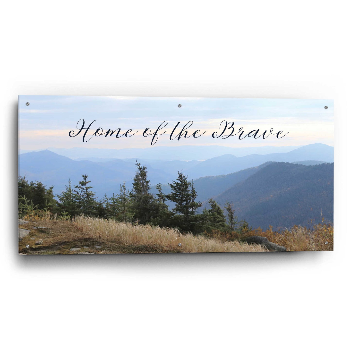 Epic Art 'Home of the Brave' by Lori Deiter Acrylic Glass Wall Art,48x24