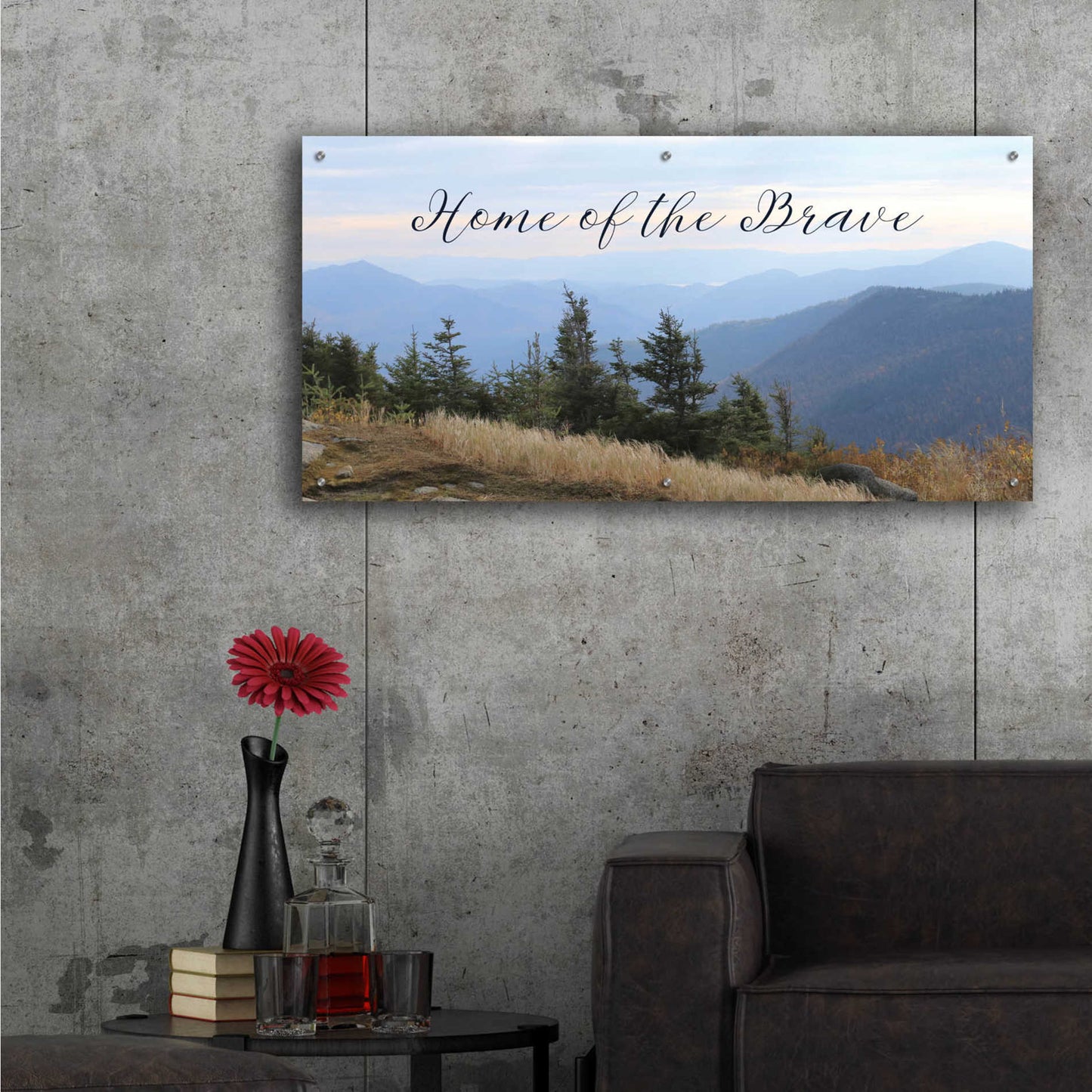 Epic Art 'Home of the Brave' by Lori Deiter Acrylic Glass Wall Art,48x24