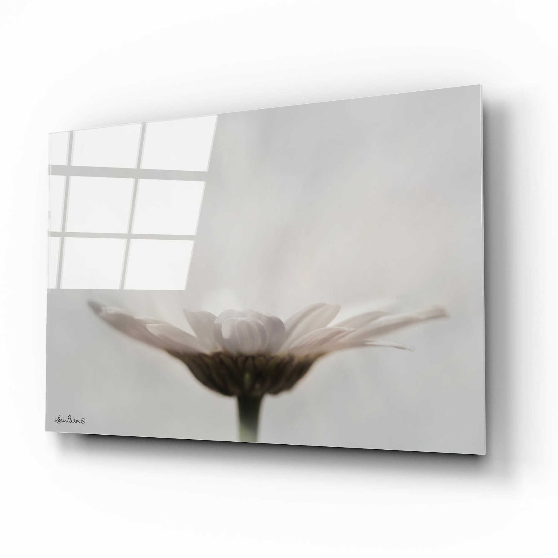 Epic Art 'Love Story' by Lori Deiter Acrylic Glass Wall Art,16x12