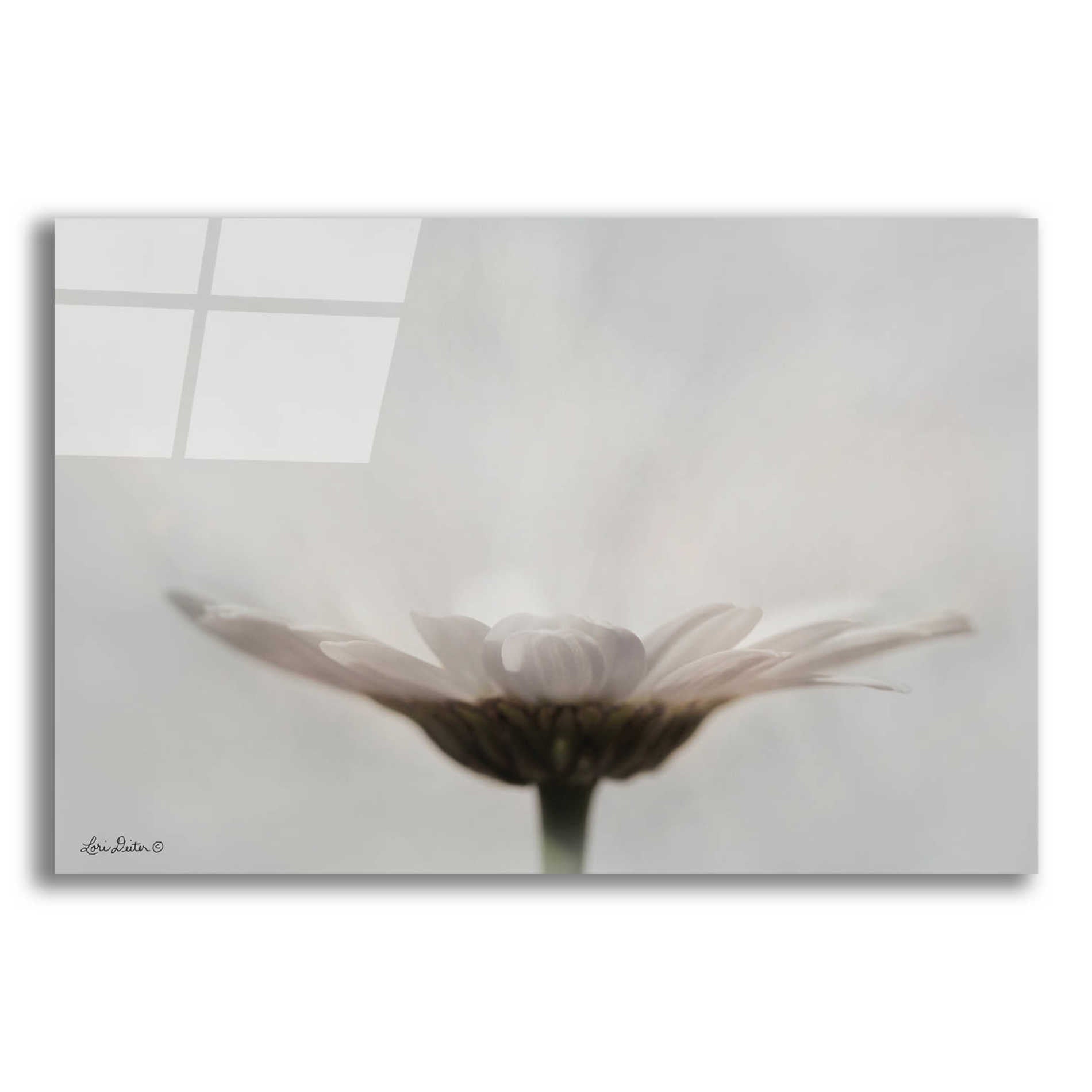 Epic Art 'Love Story' by Lori Deiter Acrylic Glass Wall Art,16x12