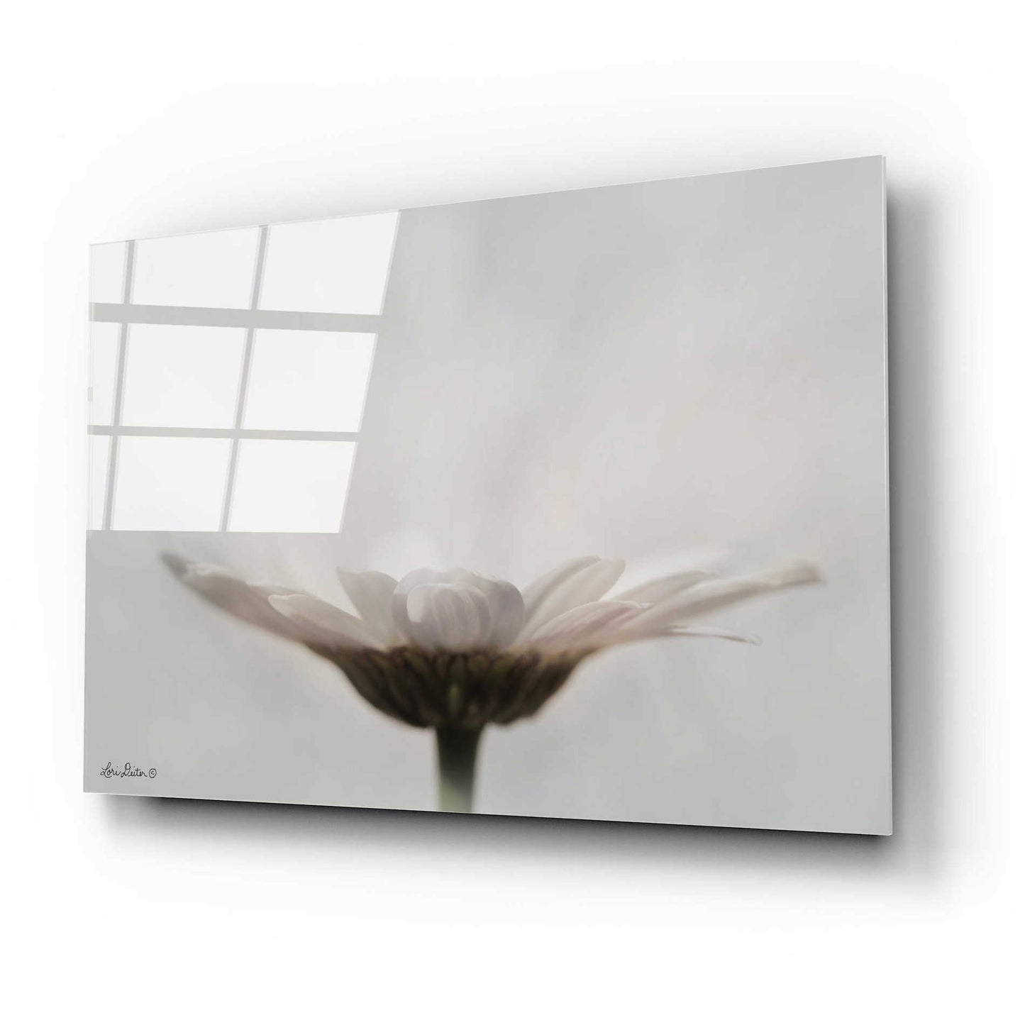 Epic Art 'Love Story' by Lori Deiter Acrylic Glass Wall Art,24x16
