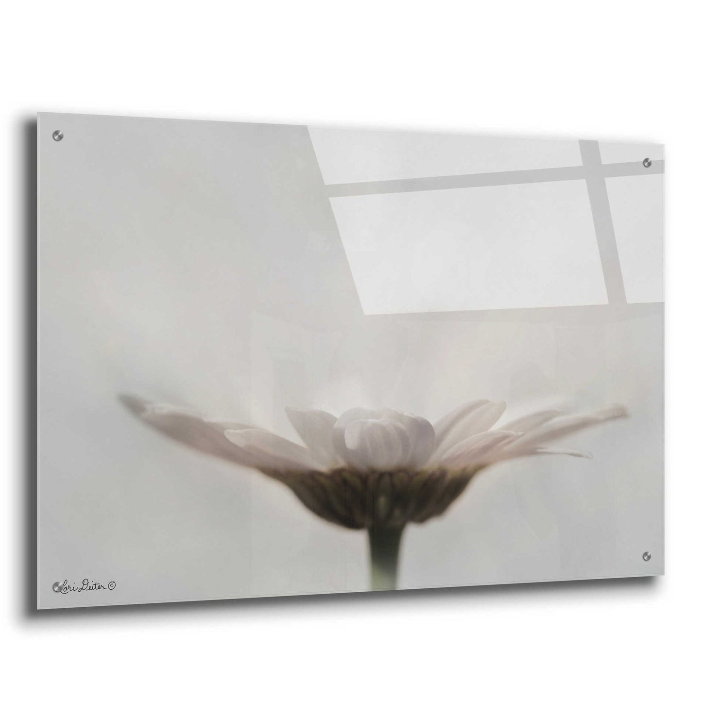 Epic Art 'Love Story' by Lori Deiter Acrylic Glass Wall Art,36x24