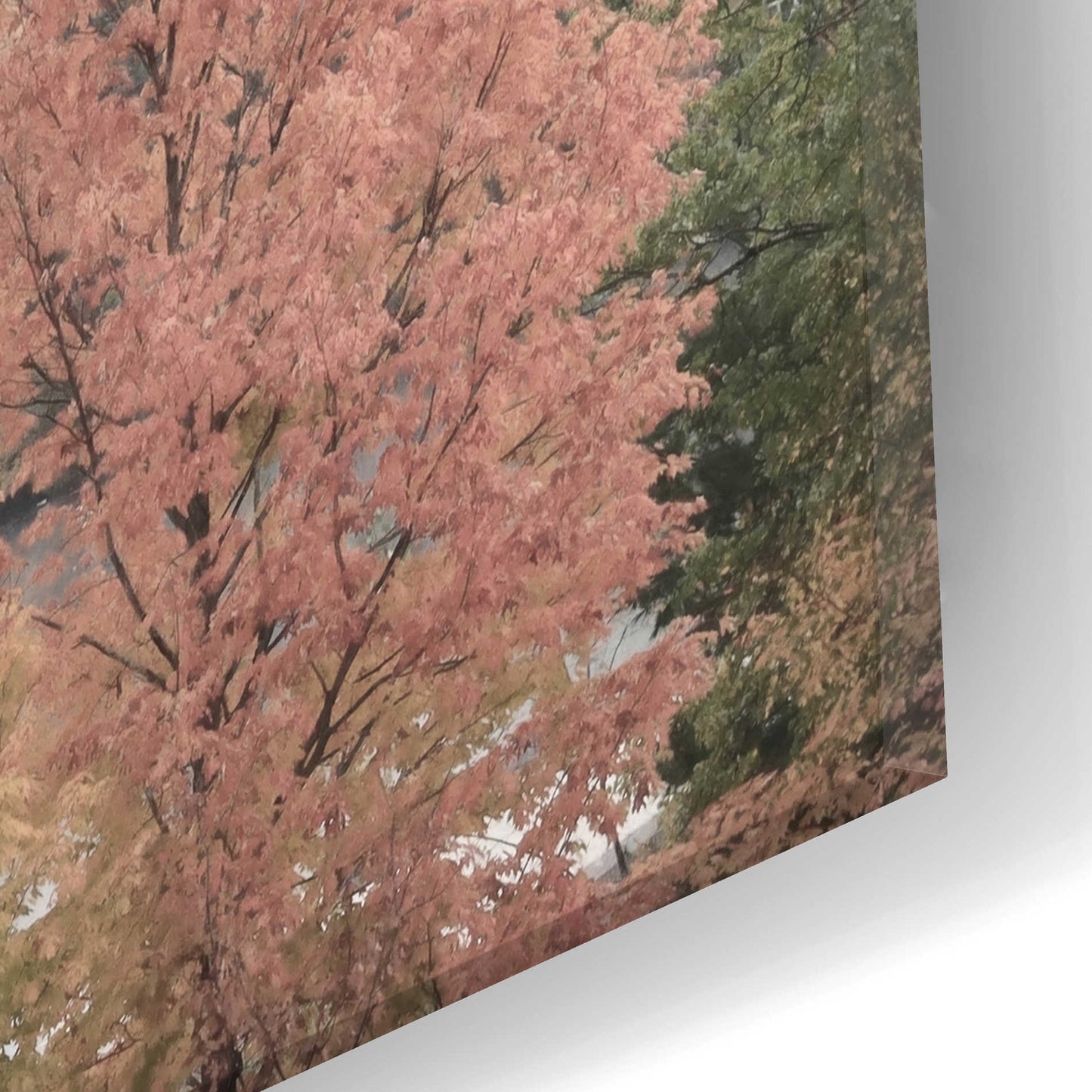 Epic Art 'Whiteface Mountain' by Lori Deiter Acrylic Glass Wall Art,24x12