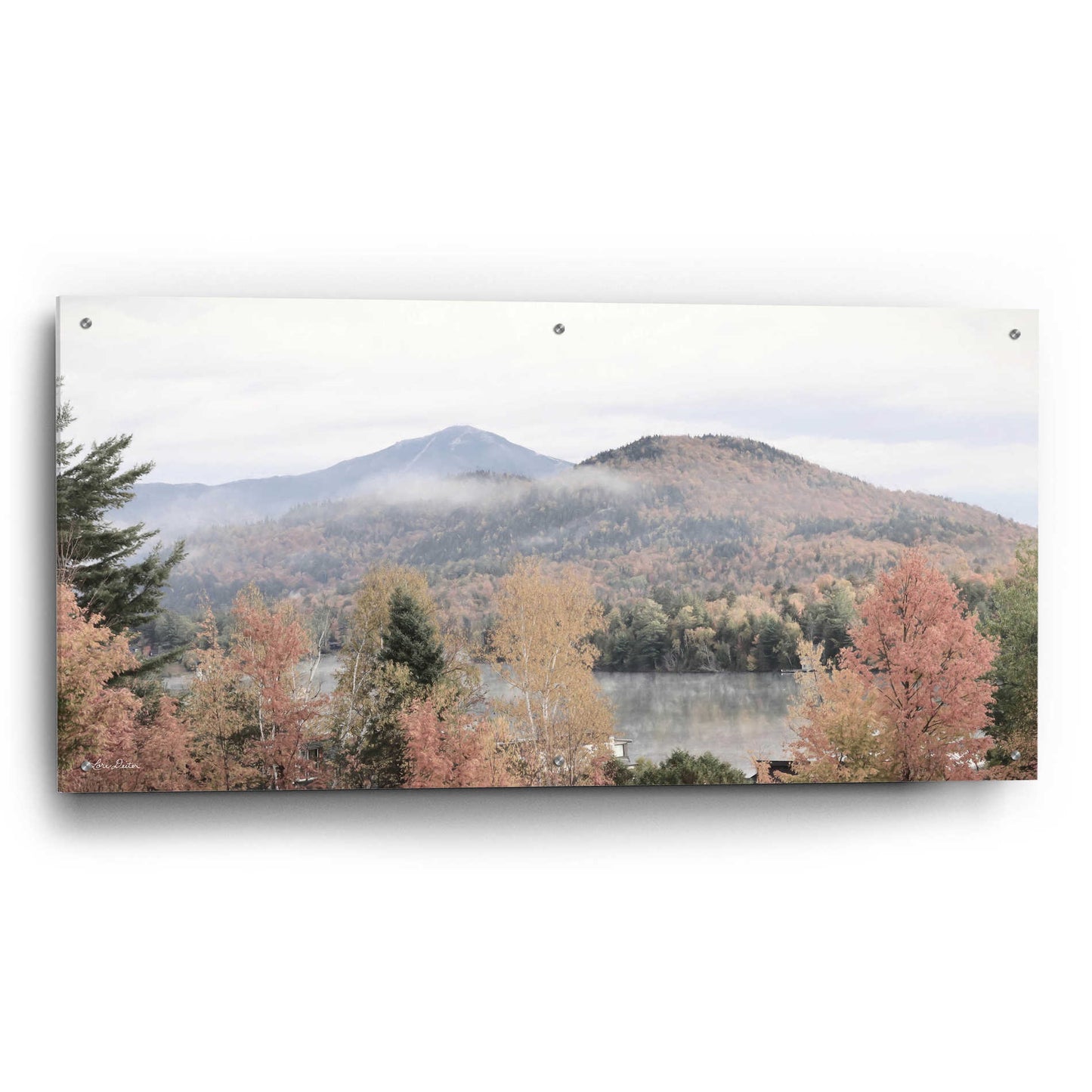 Epic Art 'Whiteface Mountain' by Lori Deiter Acrylic Glass Wall Art,48x24