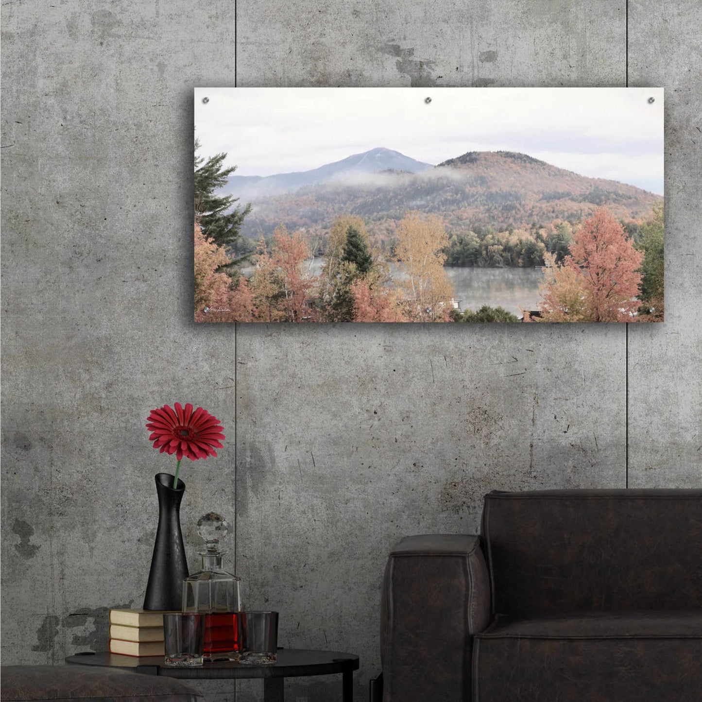 Epic Art 'Whiteface Mountain' by Lori Deiter Acrylic Glass Wall Art,48x24
