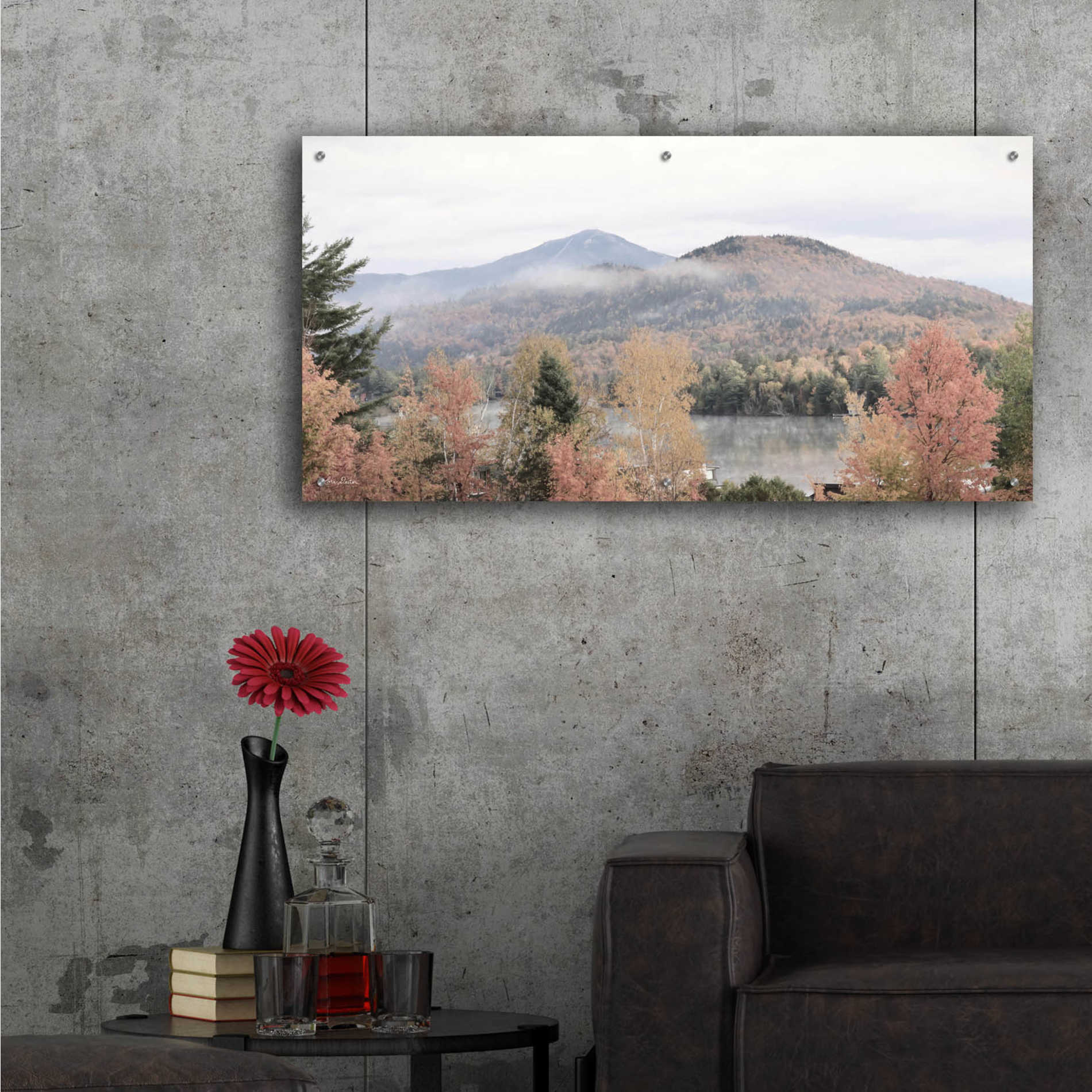 Epic Art 'Whiteface Mountain' by Lori Deiter Acrylic Glass Wall Art,48x24
