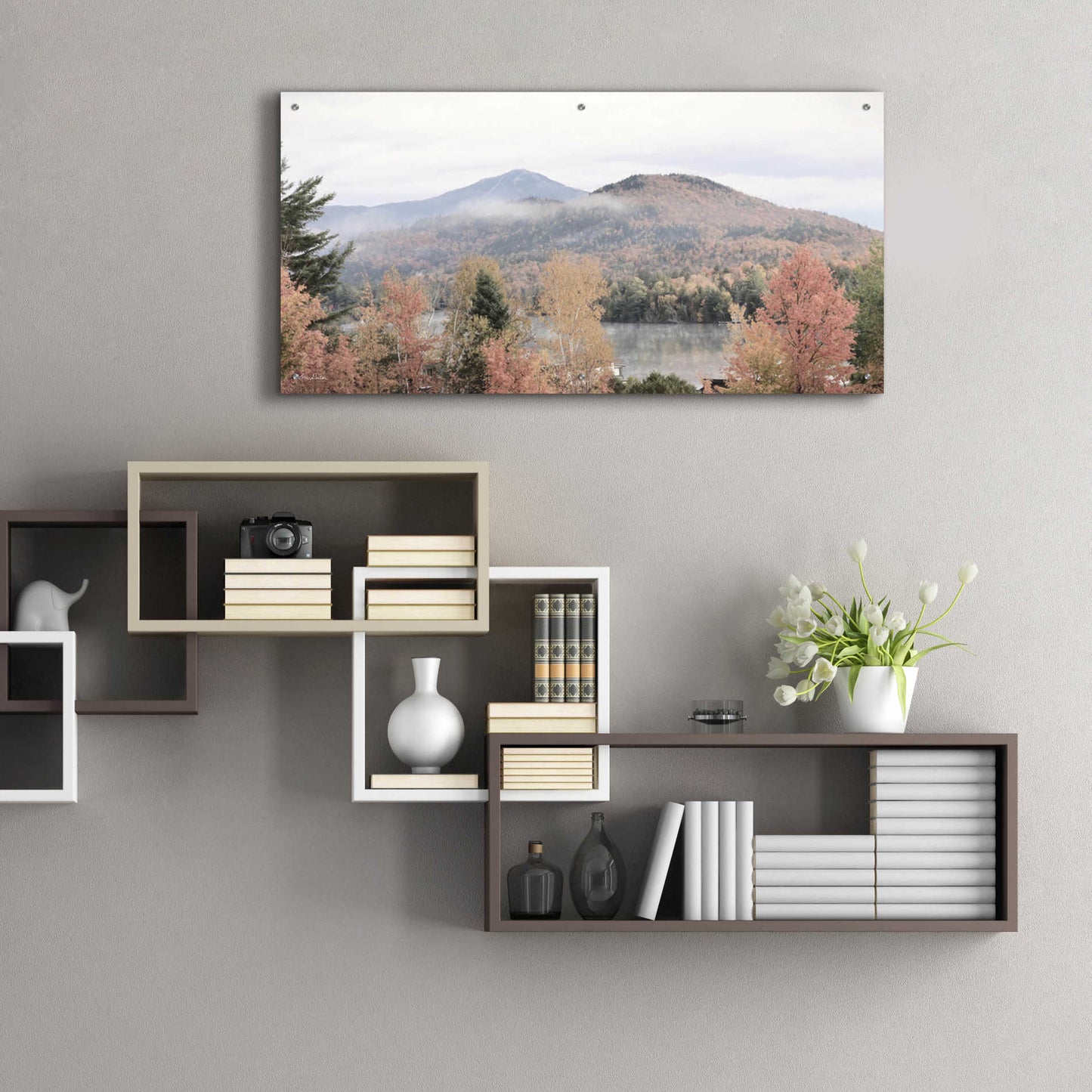Epic Art 'Whiteface Mountain' by Lori Deiter Acrylic Glass Wall Art,48x24