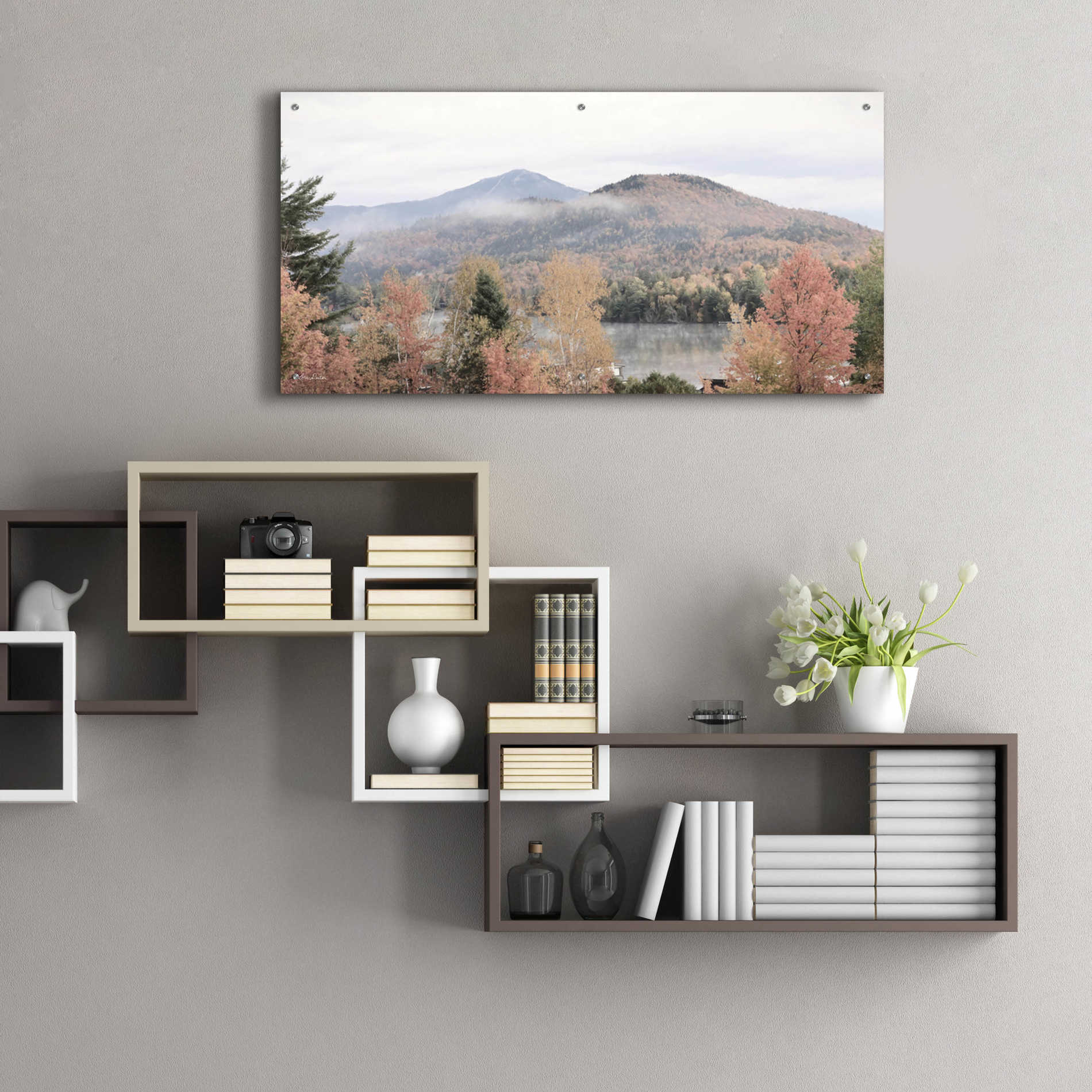 Epic Art 'Whiteface Mountain' by Lori Deiter Acrylic Glass Wall Art,48x24