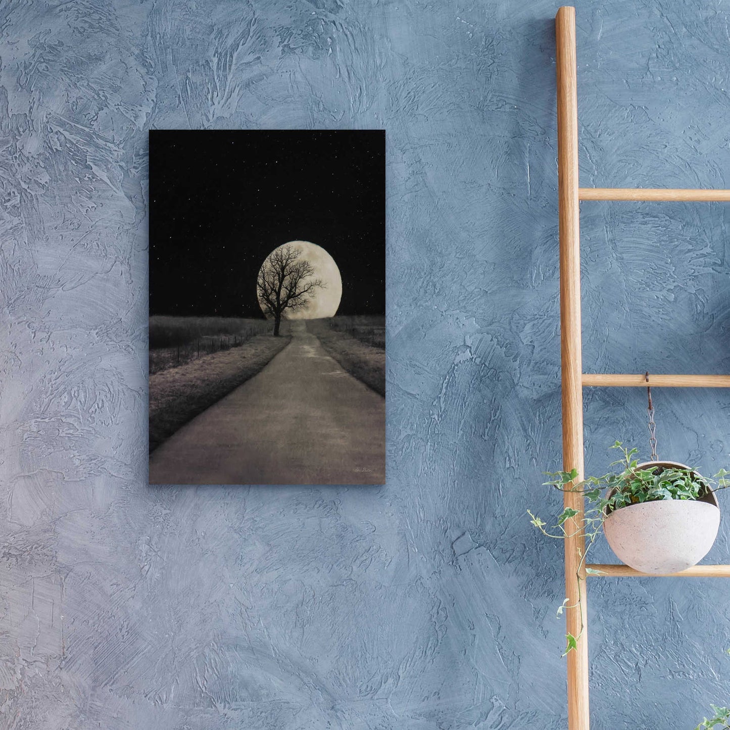 Epic Art 'Moonlit Country Road' by Lori Deiter Acrylic Glass Wall Art,16x24