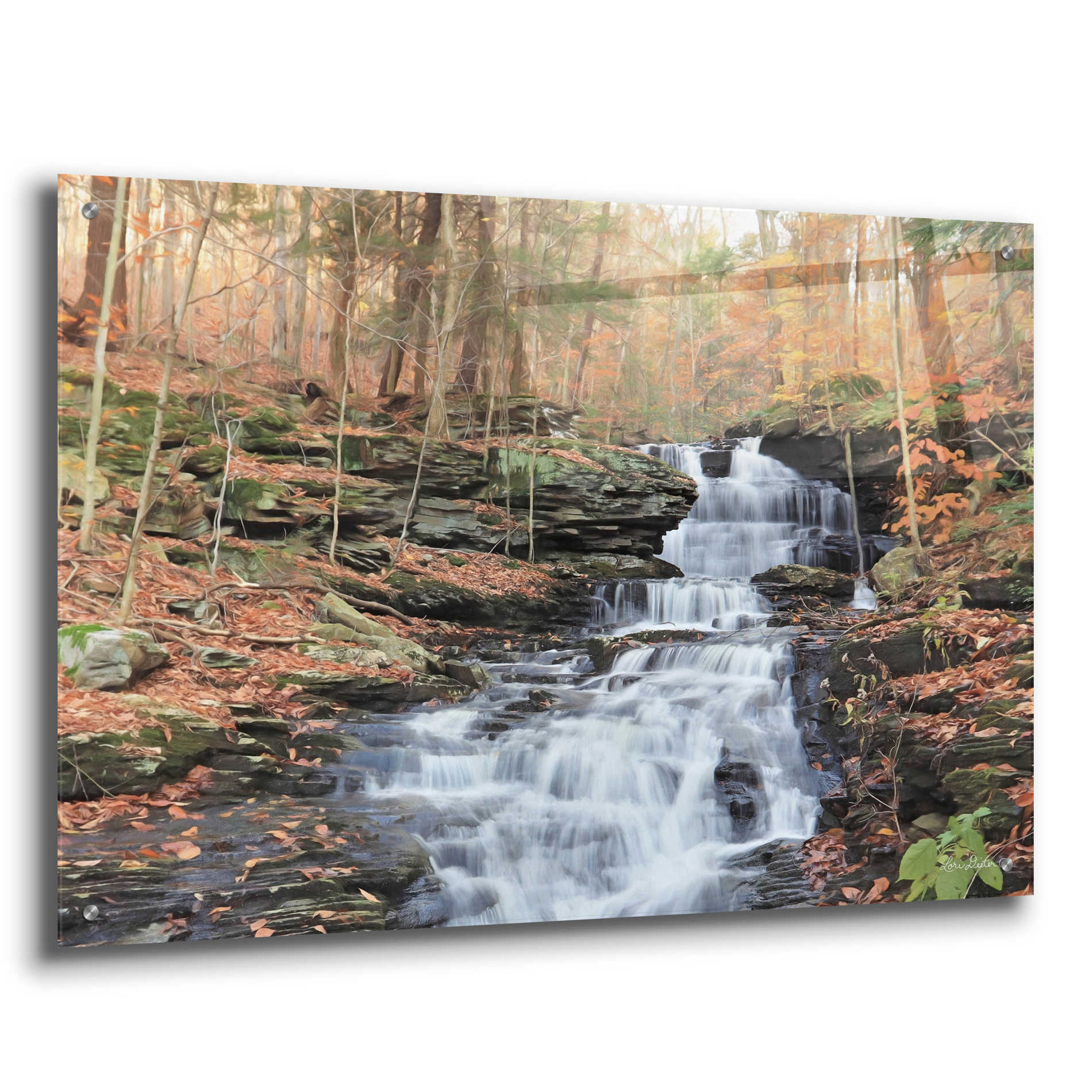 Epic Art 'Waterfall Steps at Pigeon Run' by Lori Deiter Acrylic Glass Wall Art,36x24