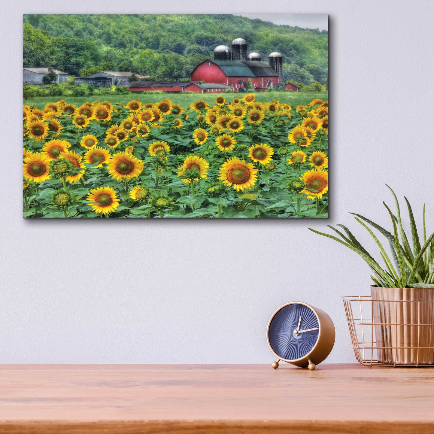 Epic Art 'Sunflower Field' by Lori Deiter Acrylic Glass Wall Art,16x12