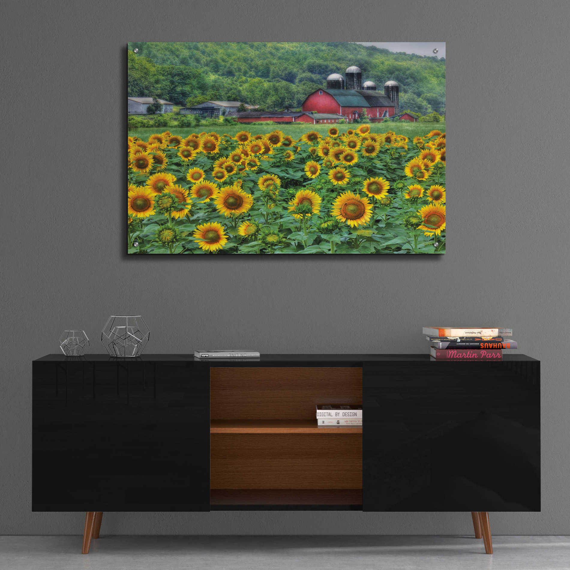Epic Art 'Sunflower Field' by Lori Deiter Acrylic Glass Wall Art,36x24