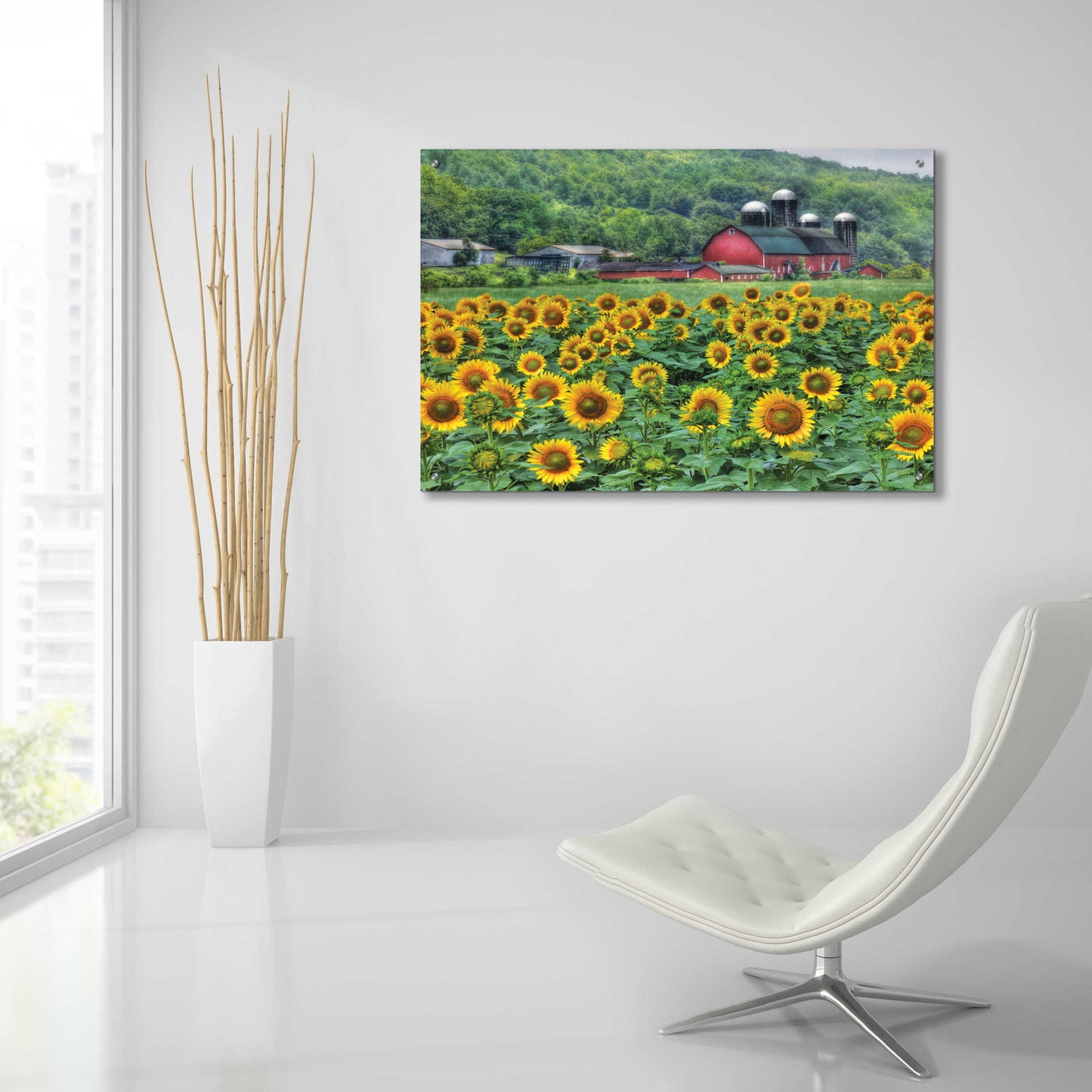 Epic Art 'Sunflower Field' by Lori Deiter Acrylic Glass Wall Art,36x24