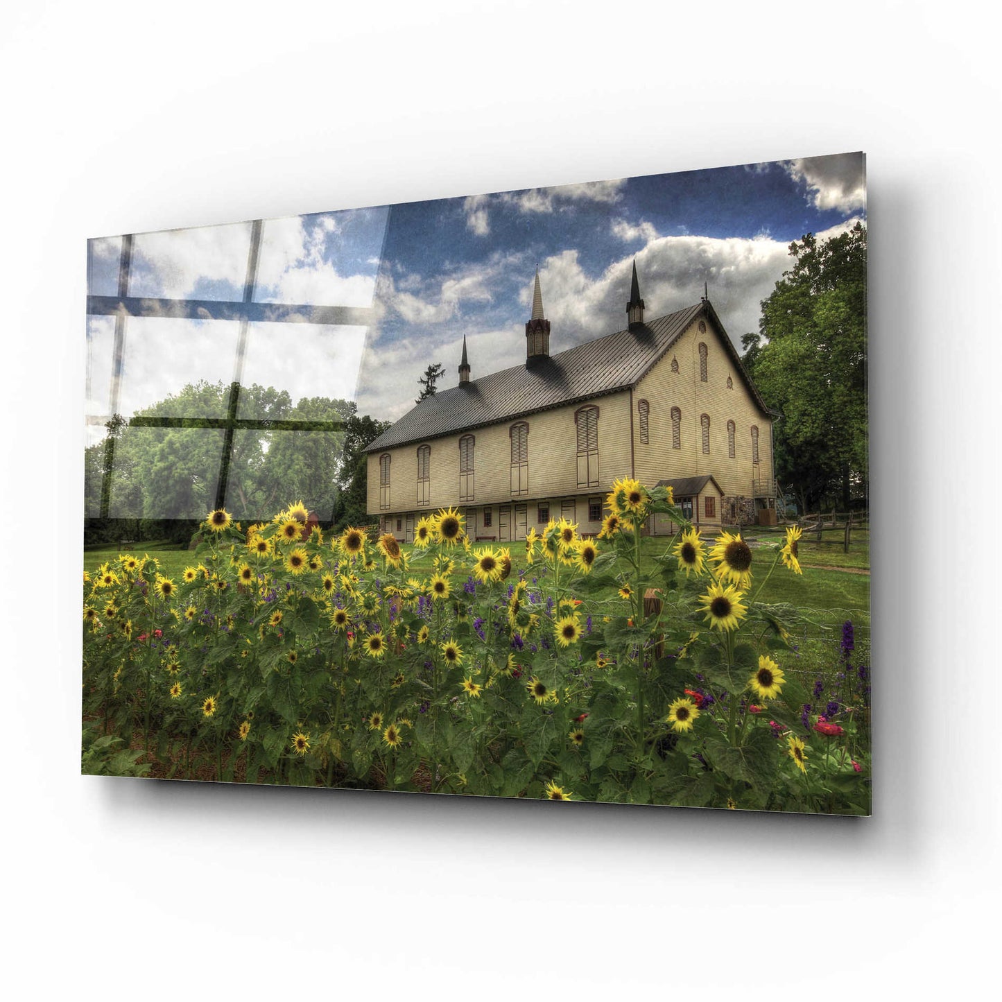 Epic Art 'Sunflower Garden' by Lori Deiter Acrylic Glass Wall Art,16x12