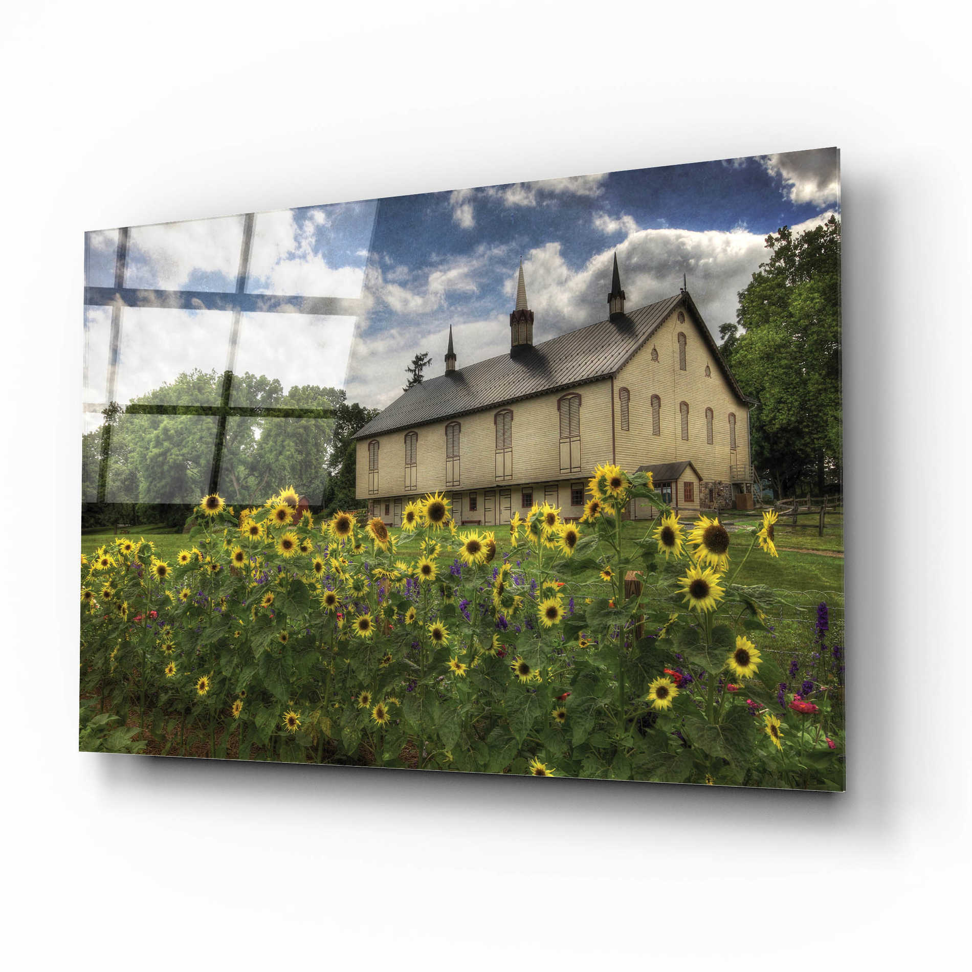 Epic Art 'Sunflower Garden' by Lori Deiter Acrylic Glass Wall Art,16x12