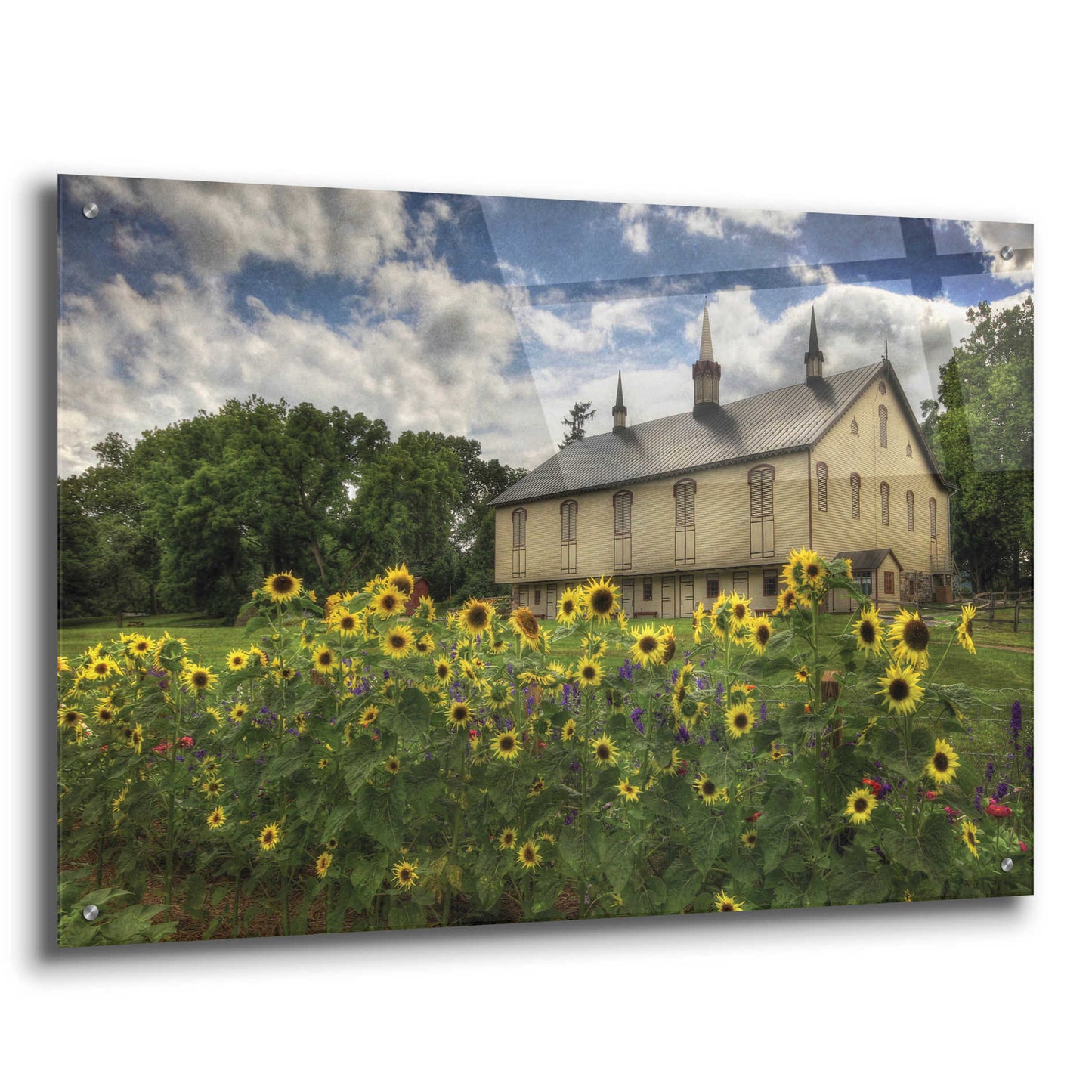 Epic Art 'Sunflower Garden' by Lori Deiter Acrylic Glass Wall Art,36x24