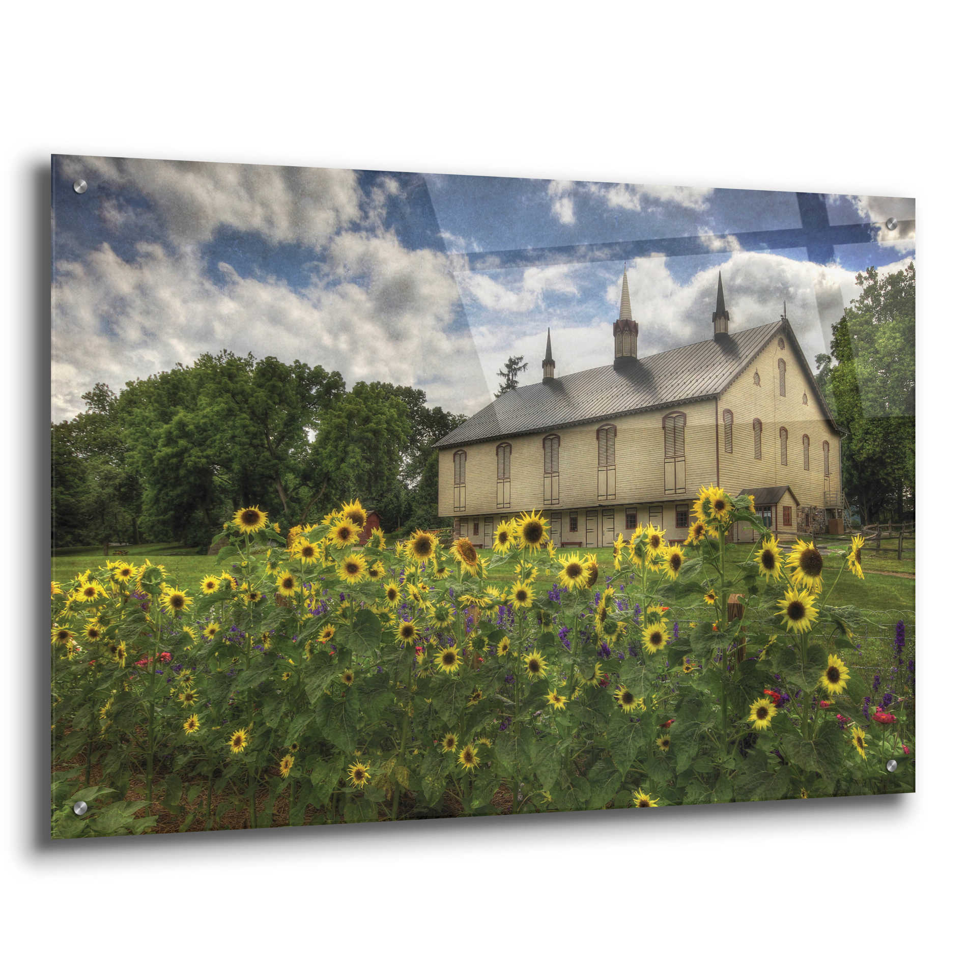 Epic Art 'Sunflower Garden' by Lori Deiter Acrylic Glass Wall Art,36x24