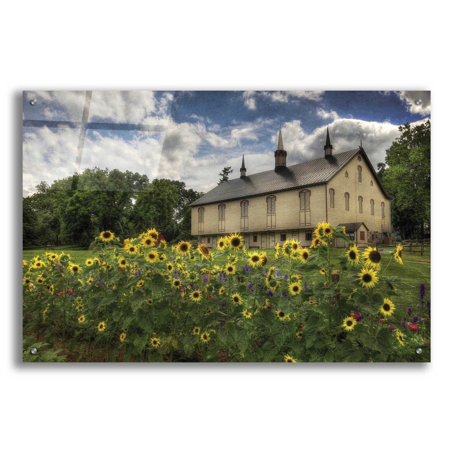 Epic Art 'Sunflower Garden' by Lori Deiter Acrylic Glass Wall Art,36x24